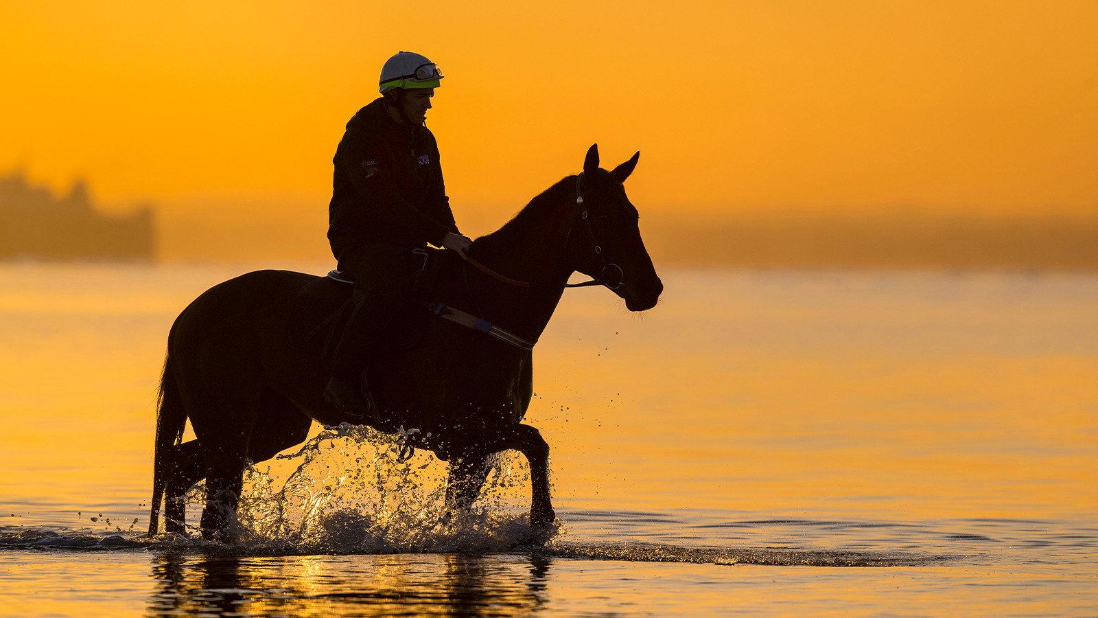 A Horse Named Winx 2024 movie scene