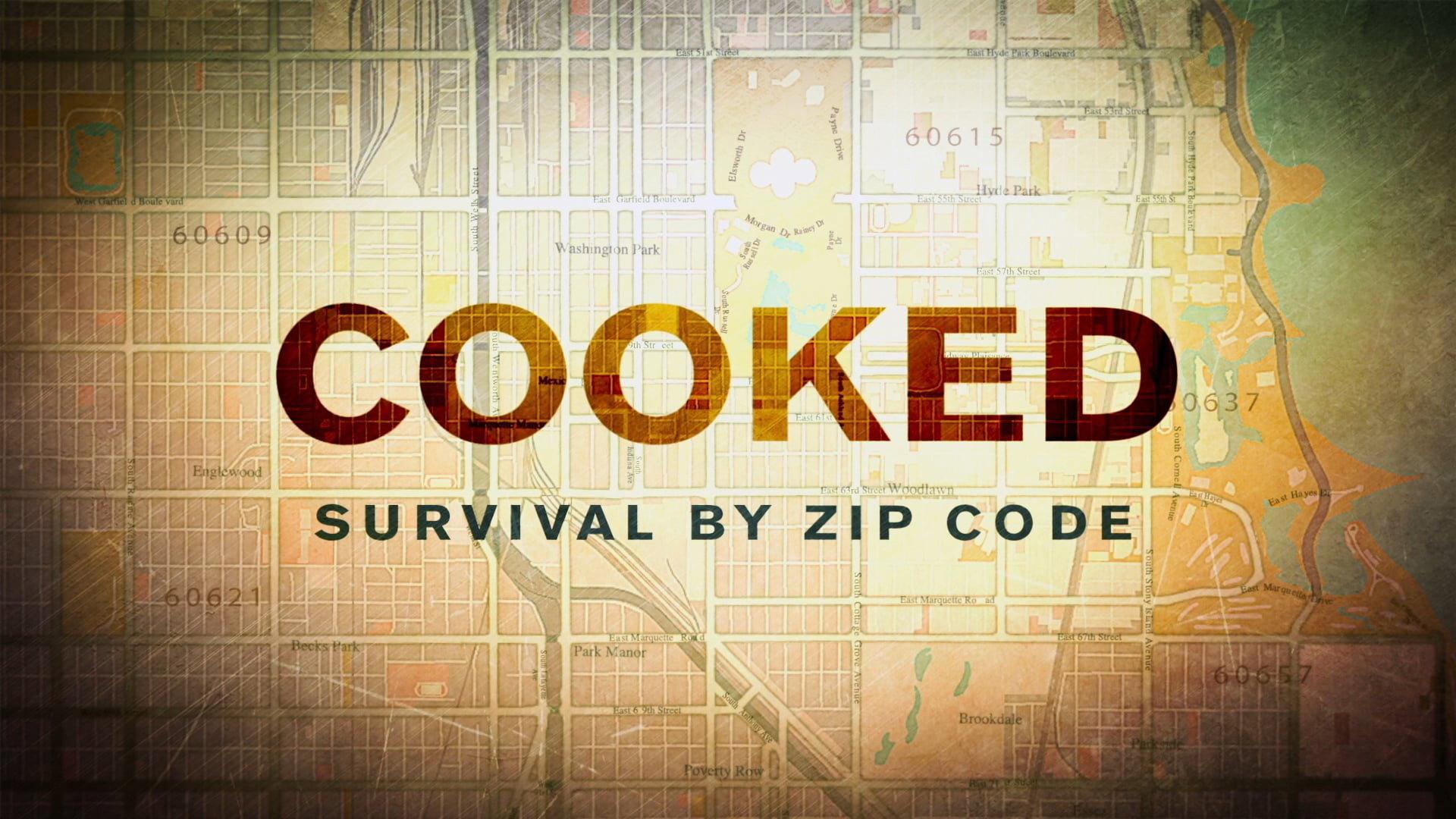 Cooked: Survival by Zip Code 2019 movie scene
