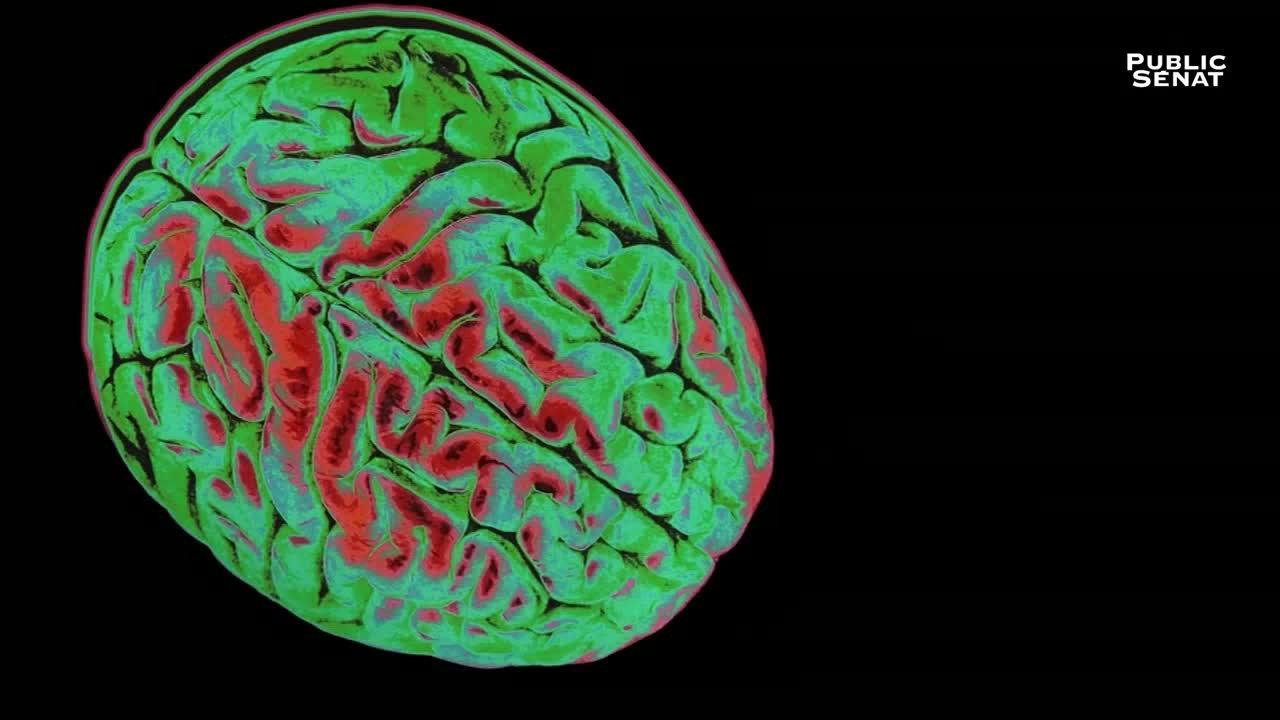 Le pouvoir nuit-il gravement au cerveau ? 2018 movie scene