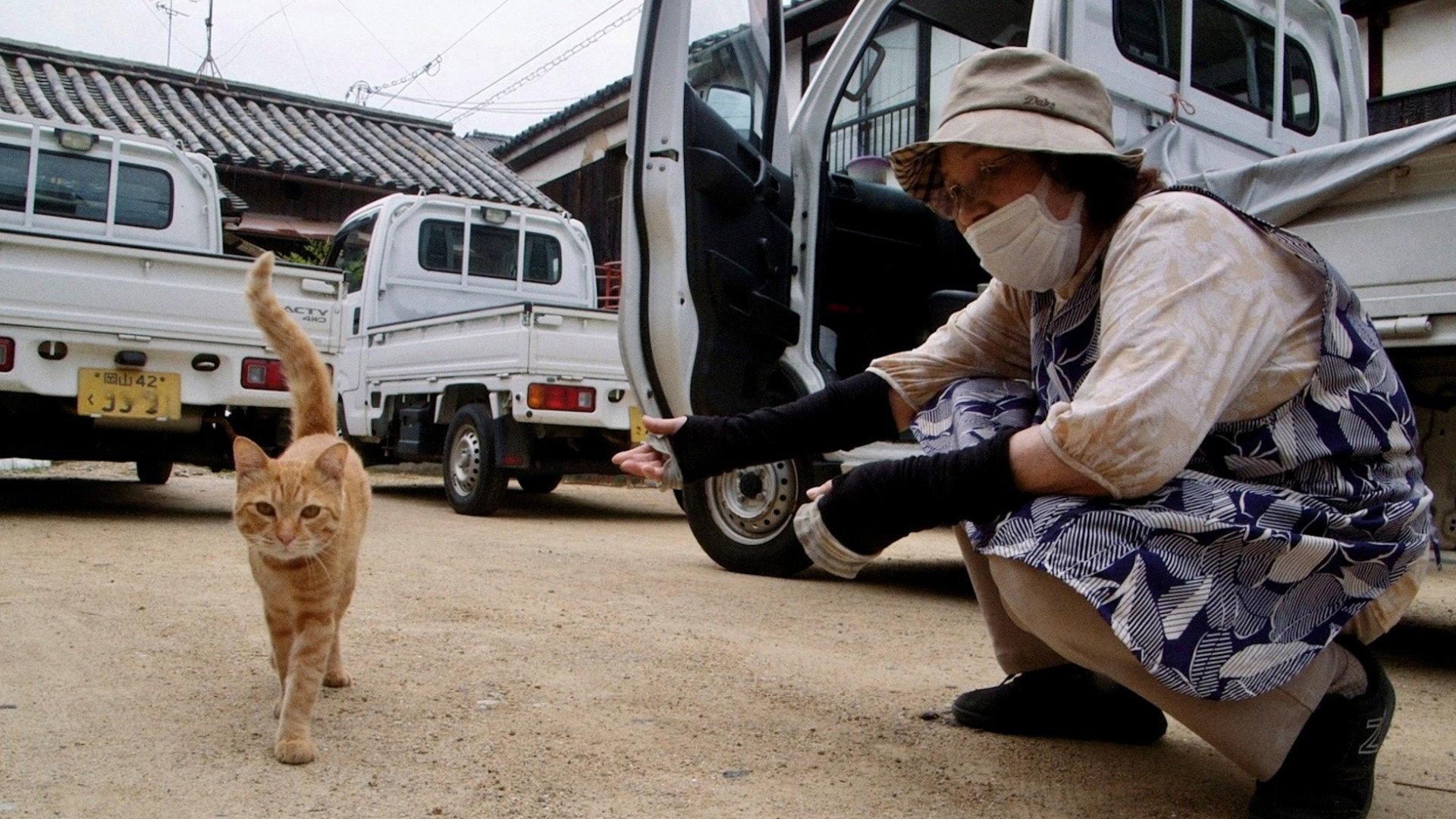 The Cats of Gokogu Shrine 2024 movie scene