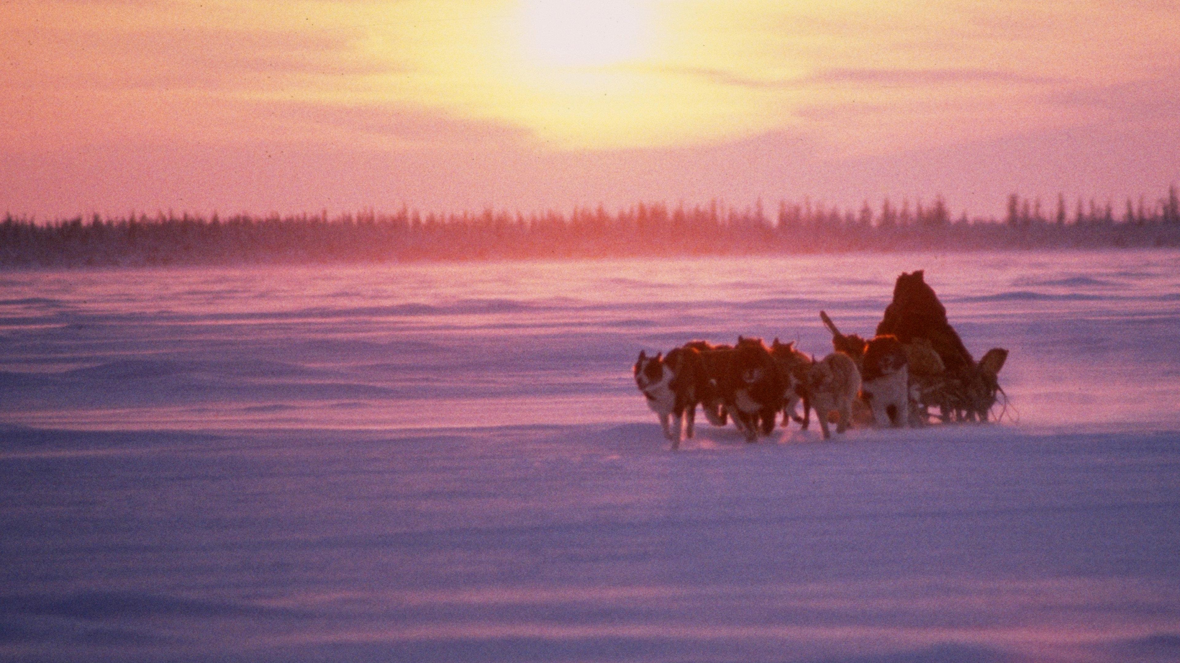 Under Aurora 1990 movie scene