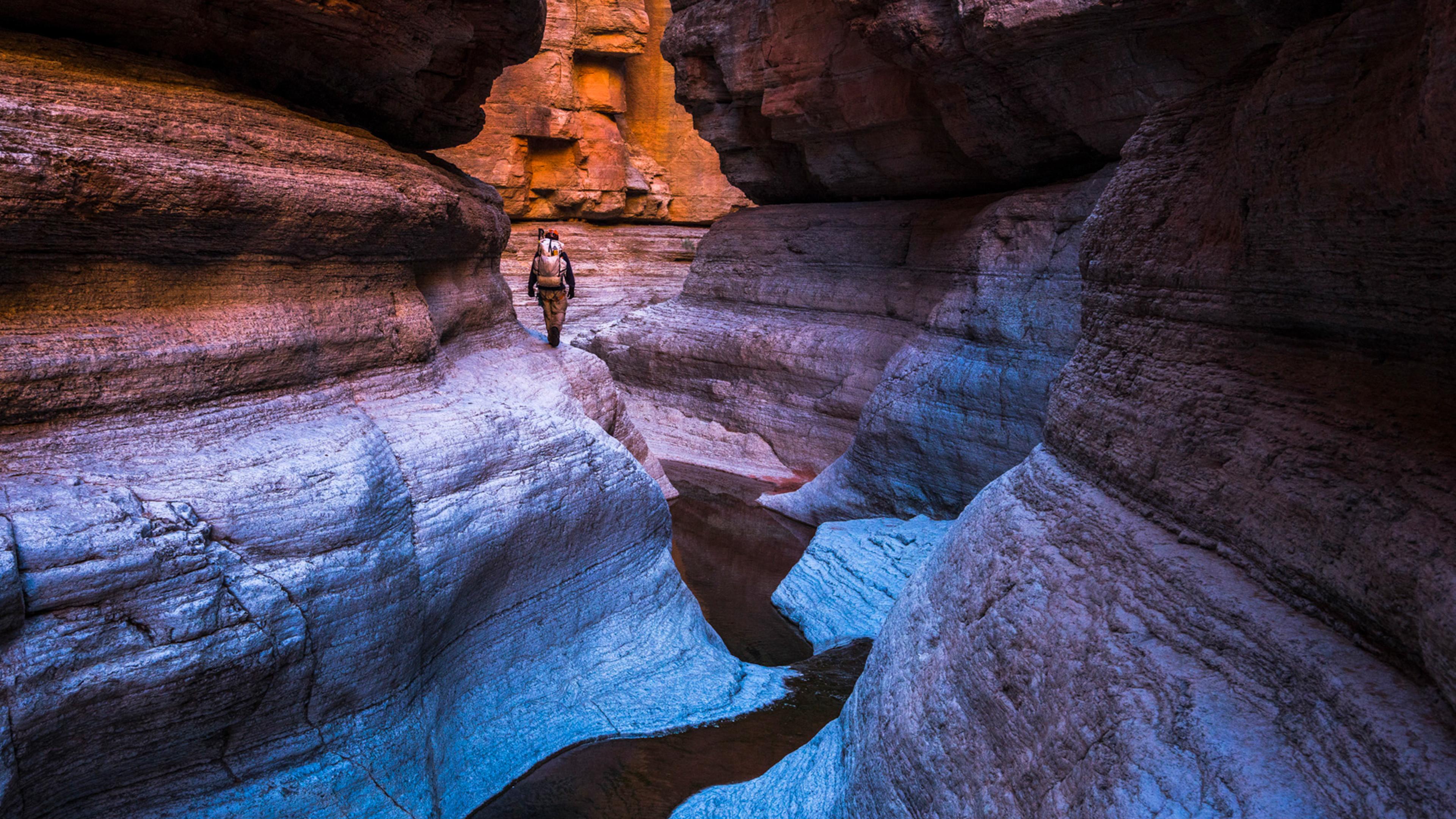 Into the Grand Canyon 2019 movie scene