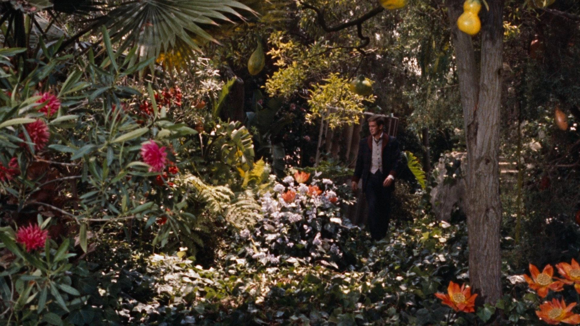 The Time Machine 1960 movie scene