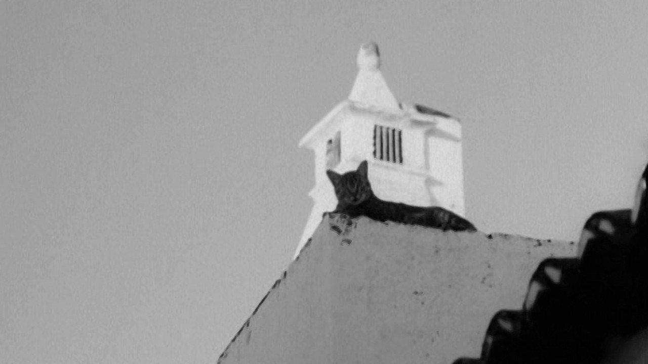 As Pedras e o Tempo 1961 movie scene