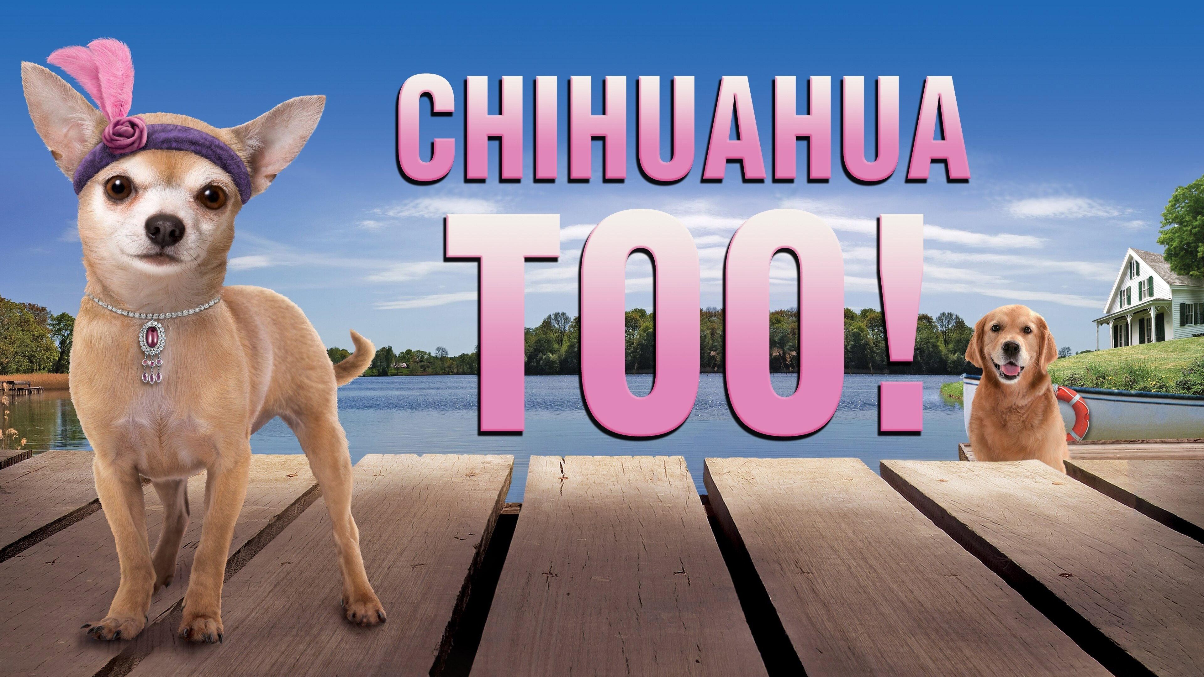 Chihuahua Too! 2013 movie scene