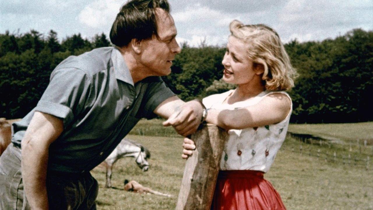 Hochzeit auf Immenhof 1956 movie scene