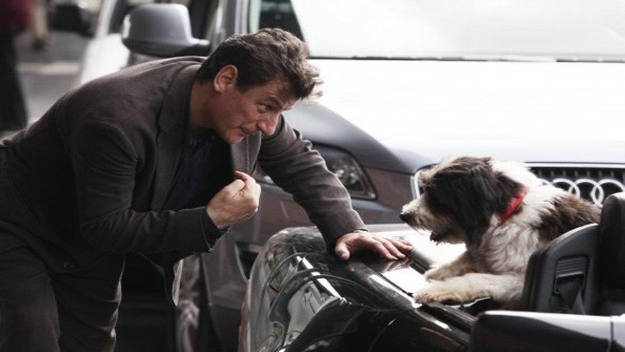 Un cane per due 2010 movie scene