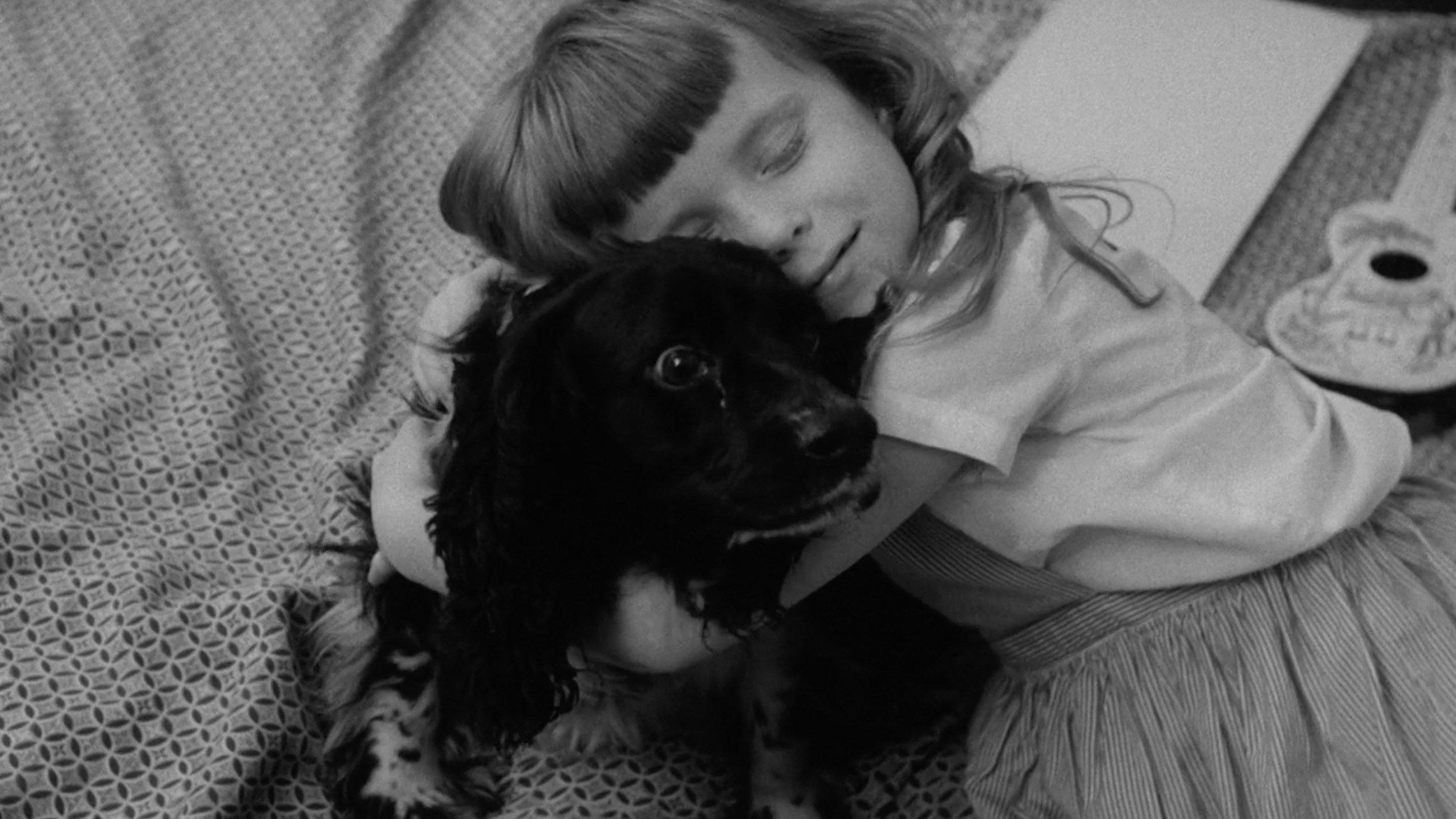 The Dog Lover 1962 movie scene