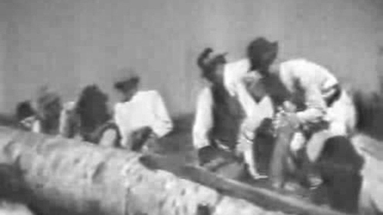 Bukovyna, Ukrainian Land 1939 movie scene