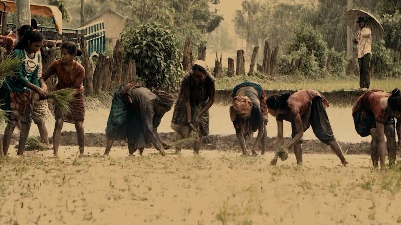 Dhuwani 2013 movie scene
