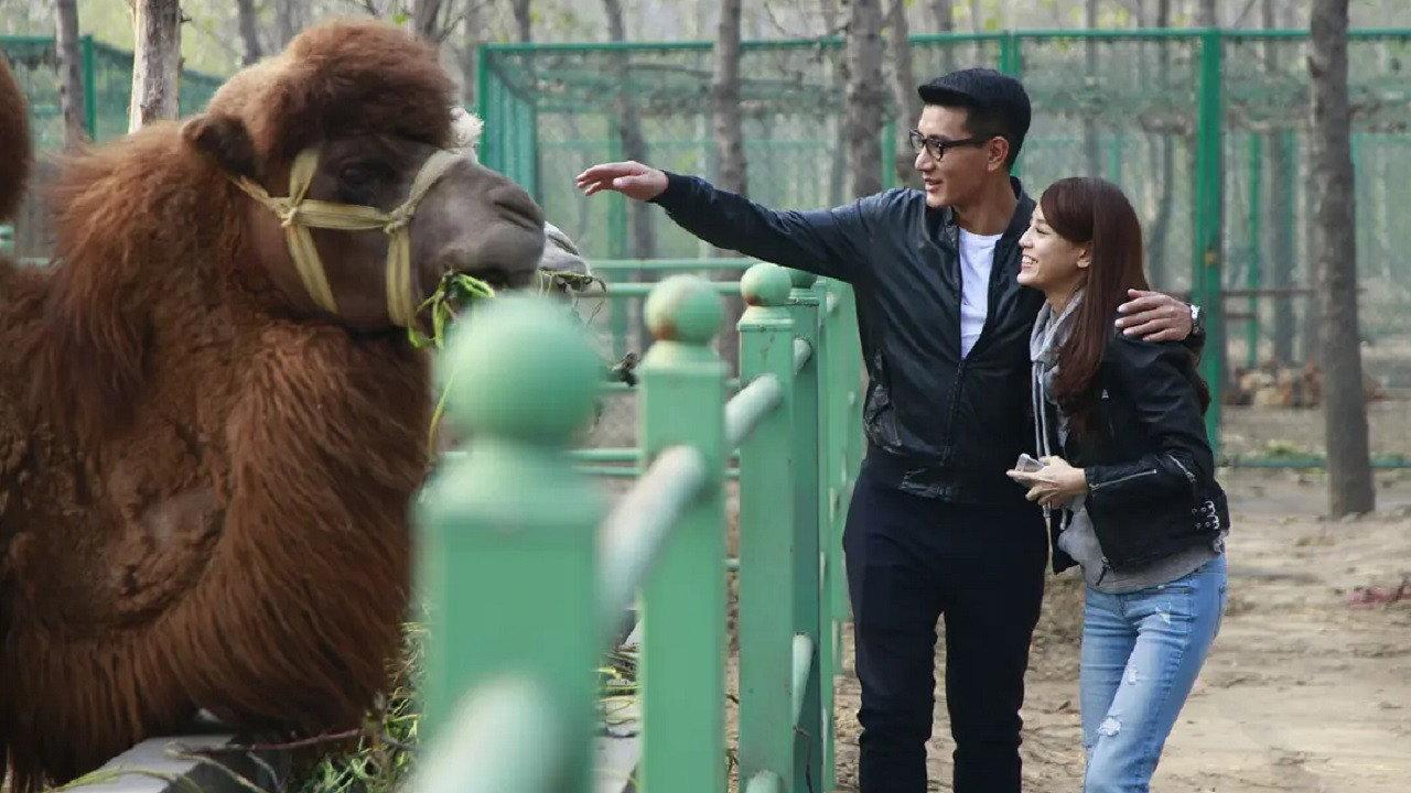 Zero Point Five Love 2014 movie scene
