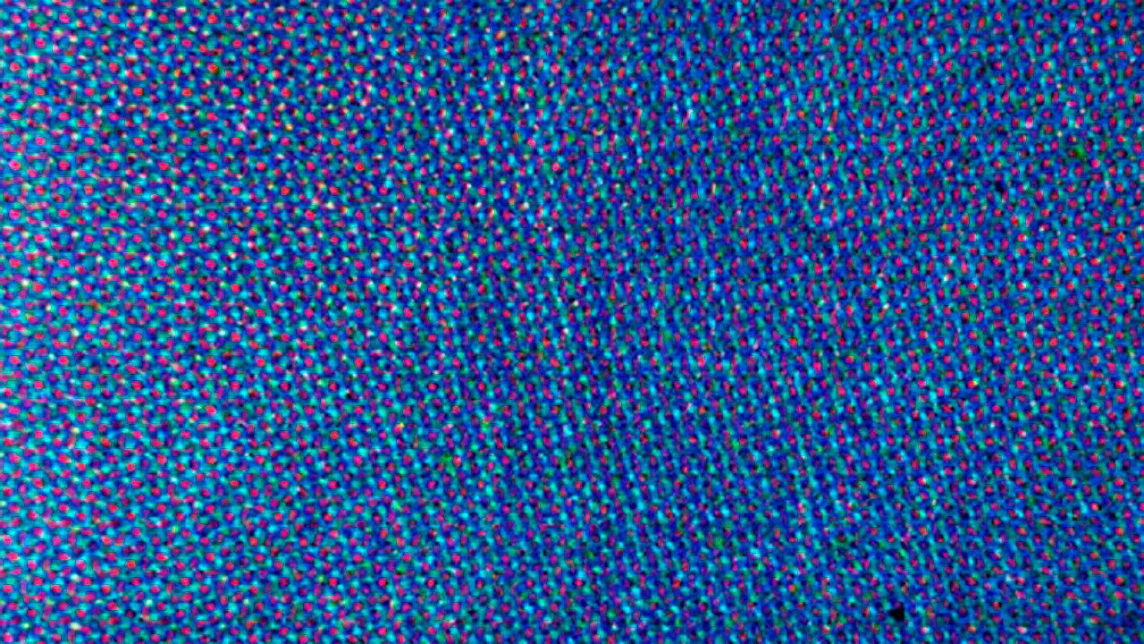 Blue Movie 2014 movie scene