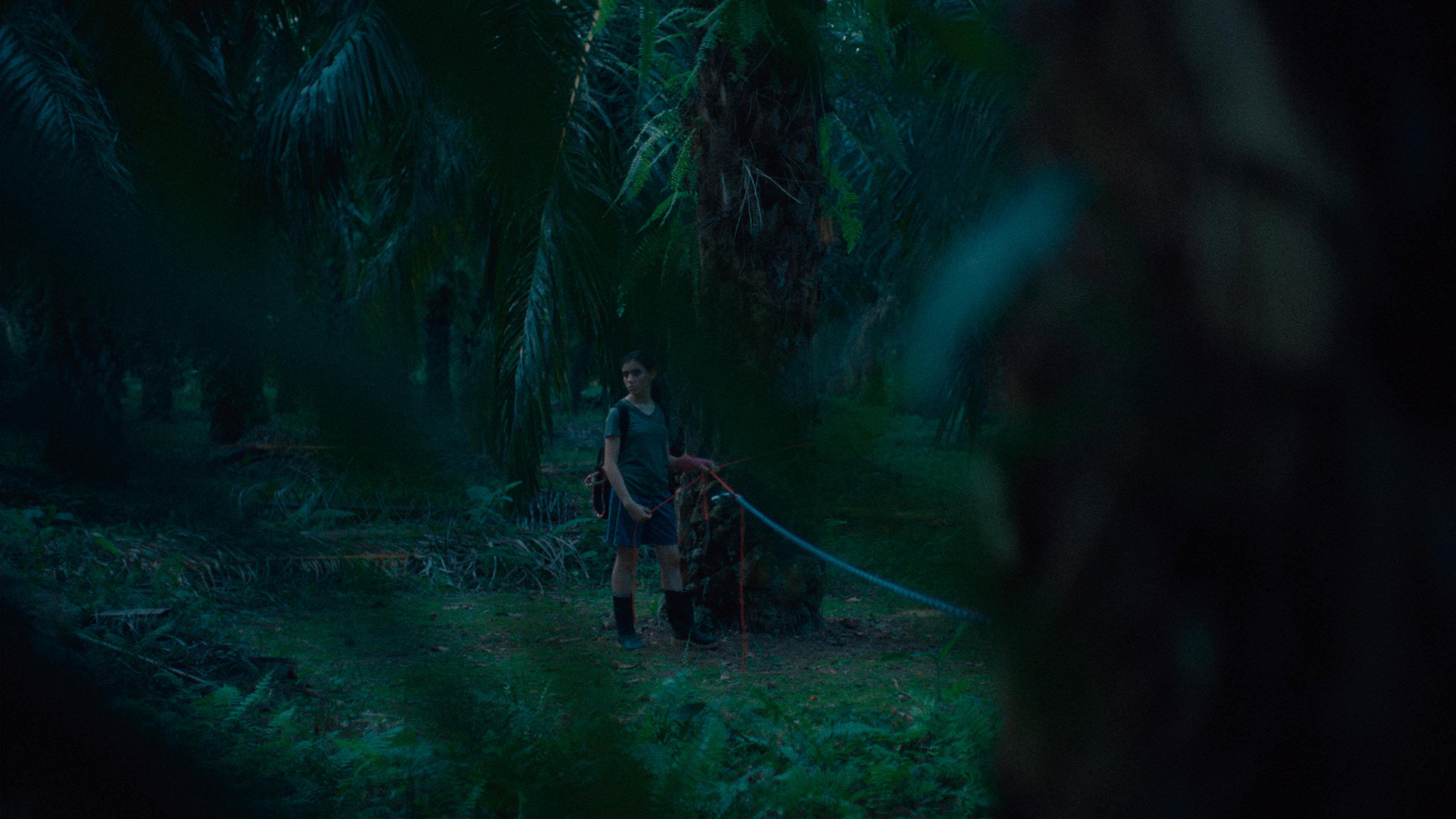 If We Don't Burn, How Do We Light Up the Night 2025 movie scene