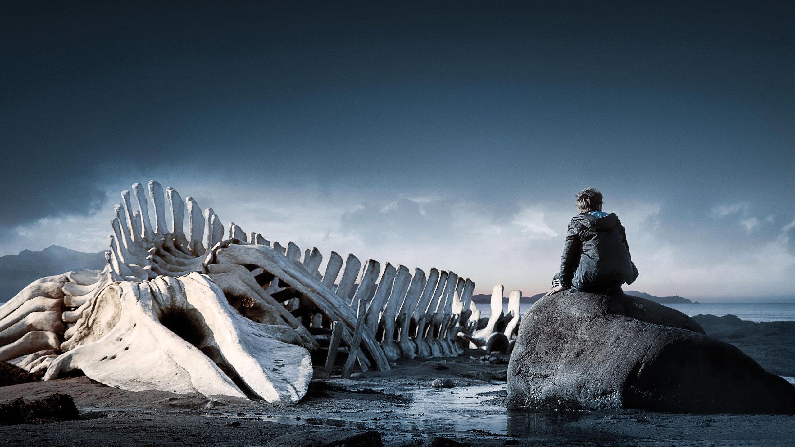 Leviathan 2014 movie scene
