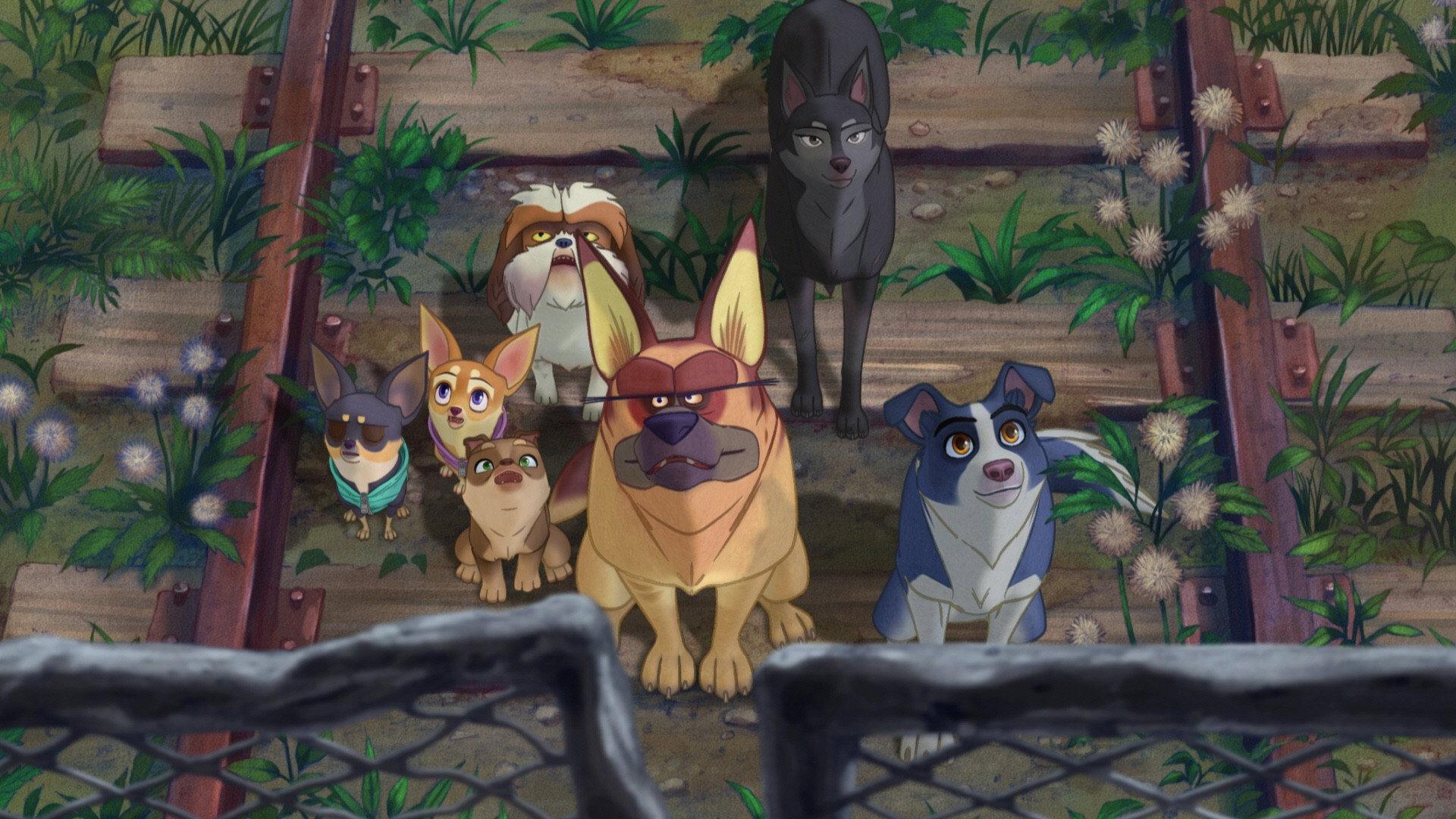 A Dog's Courage 2019 movie scene