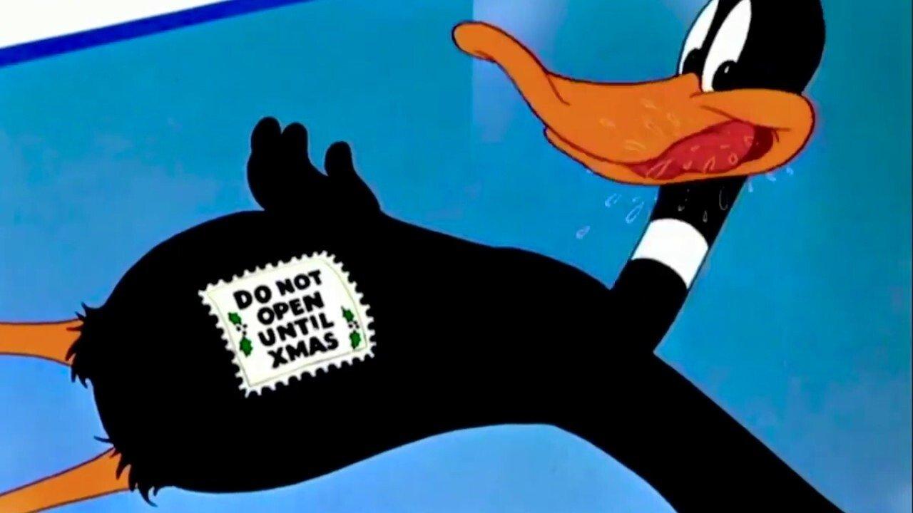 Daffy Duck Hunt 1949 movie scene