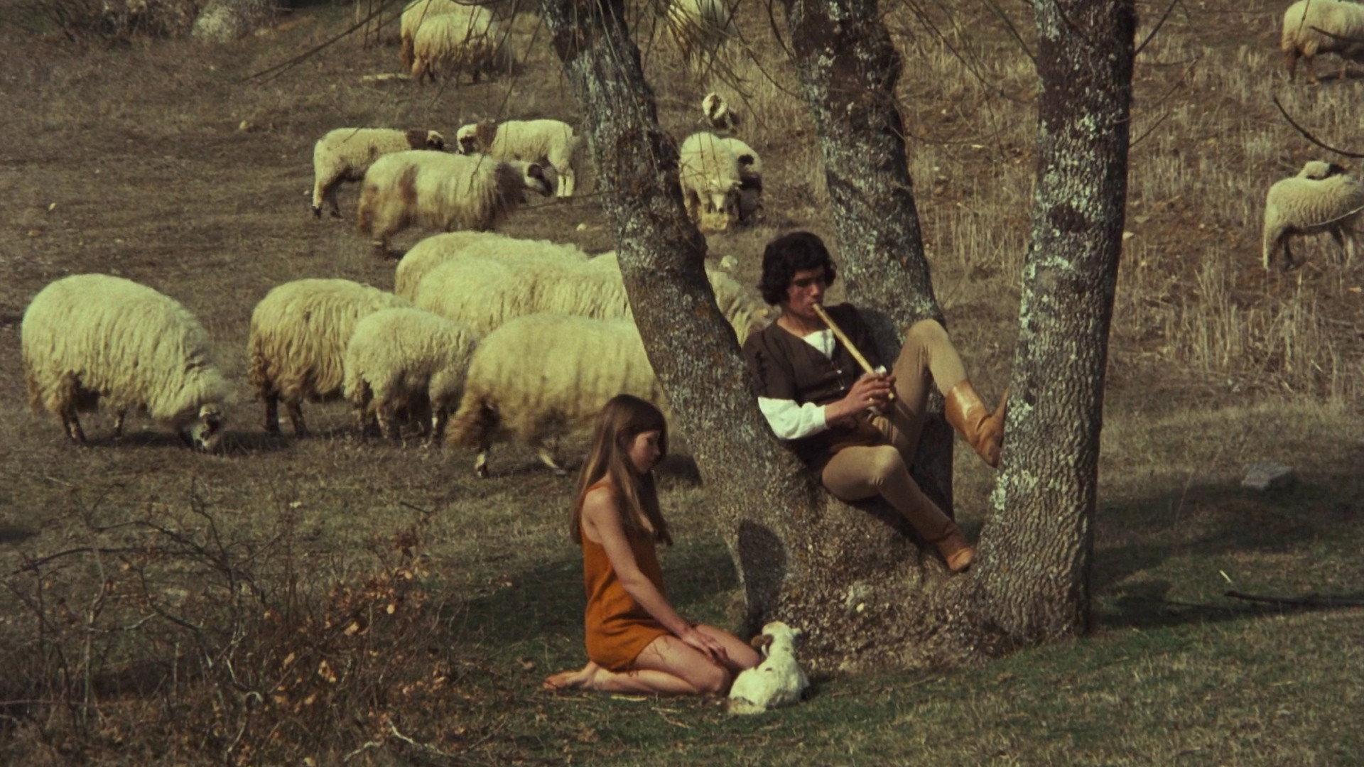 Trails 1978 movie scene
