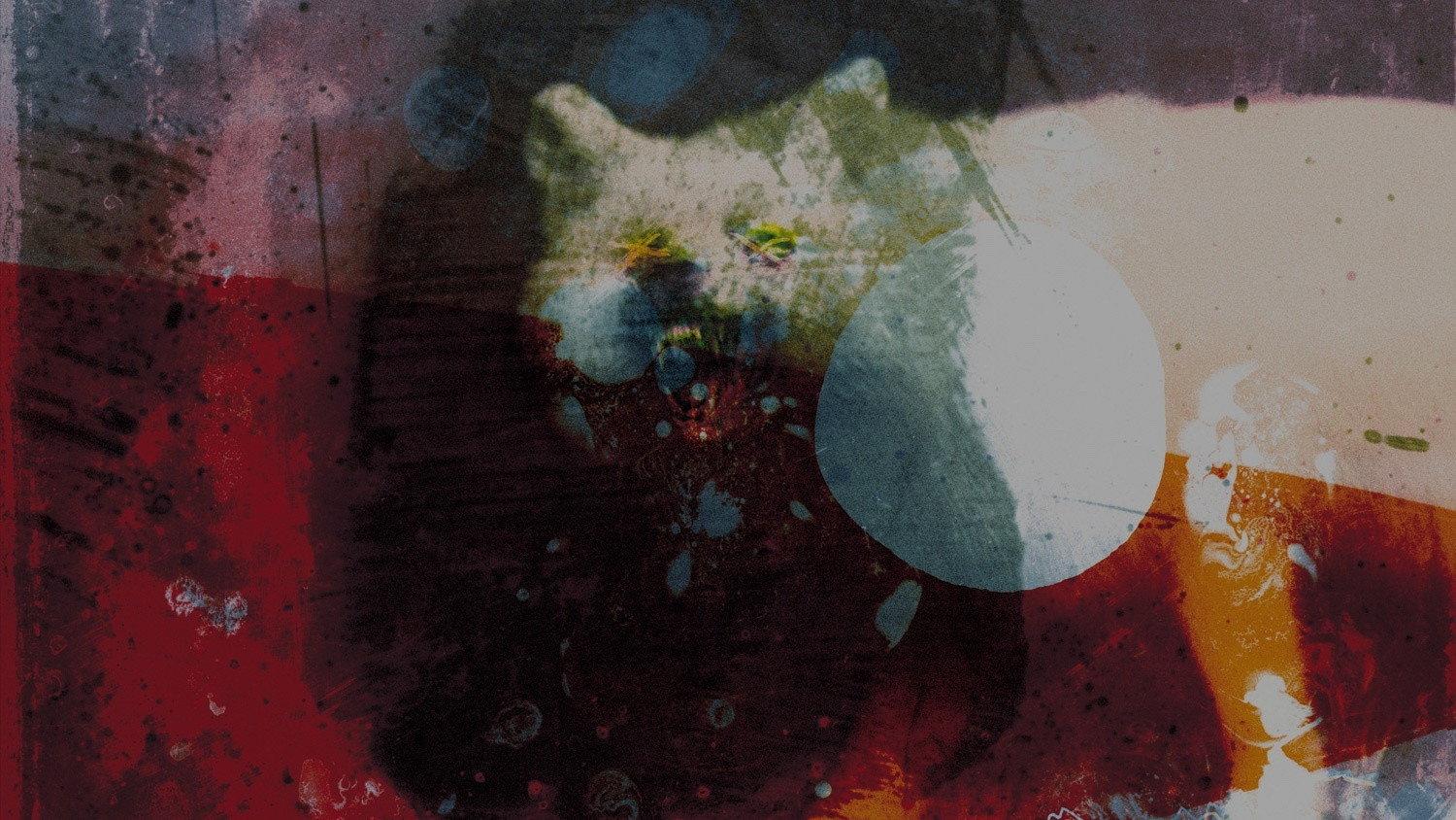 Mogwai: As the Love Continues 2021 movie scene