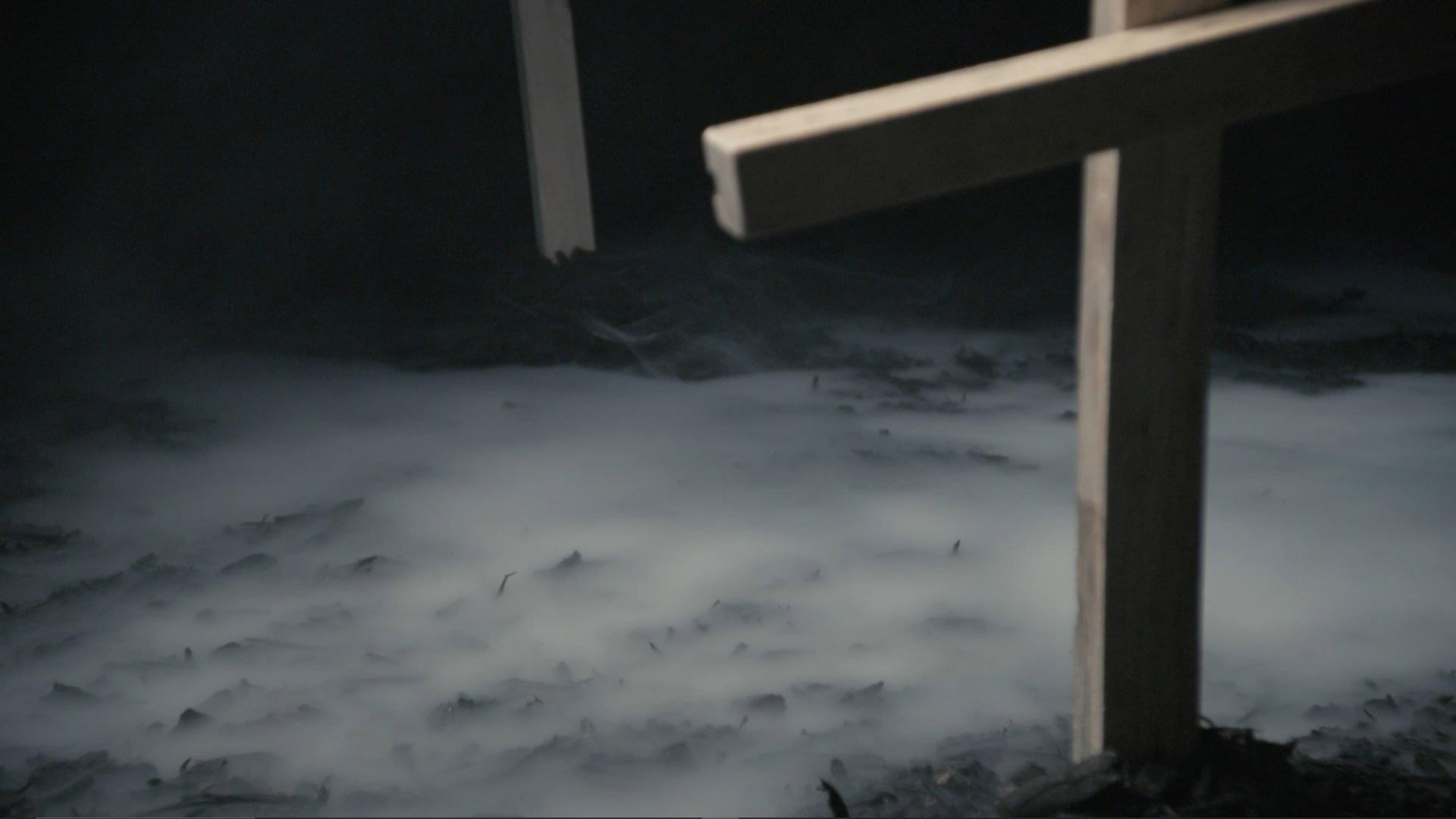 Lavender Rot 2025 movie scene