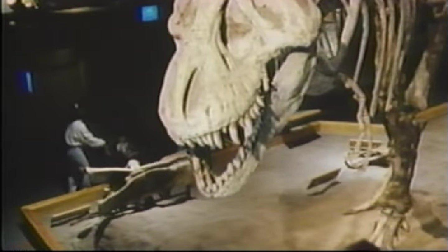 The Real Jurassic Park 1993 movie scene