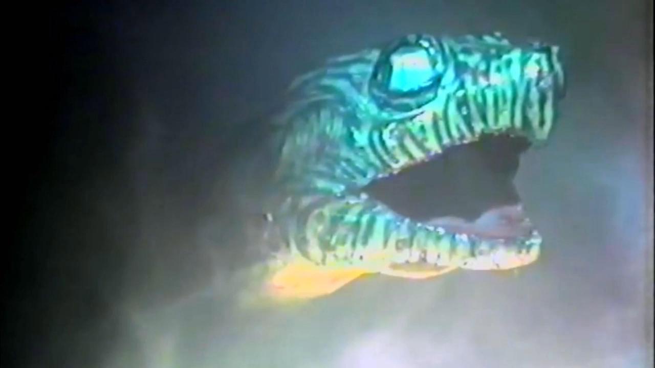 Snapper 2021 movie scene