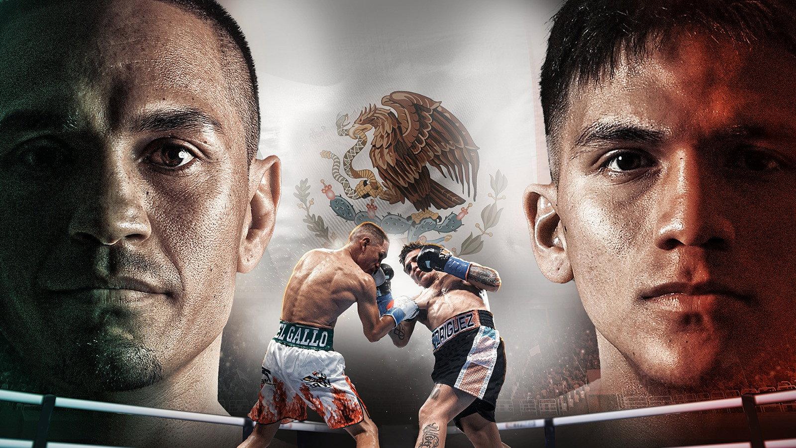 Juan Francisco Estrada vs. Jesse Rodriguez 2024 movie scene