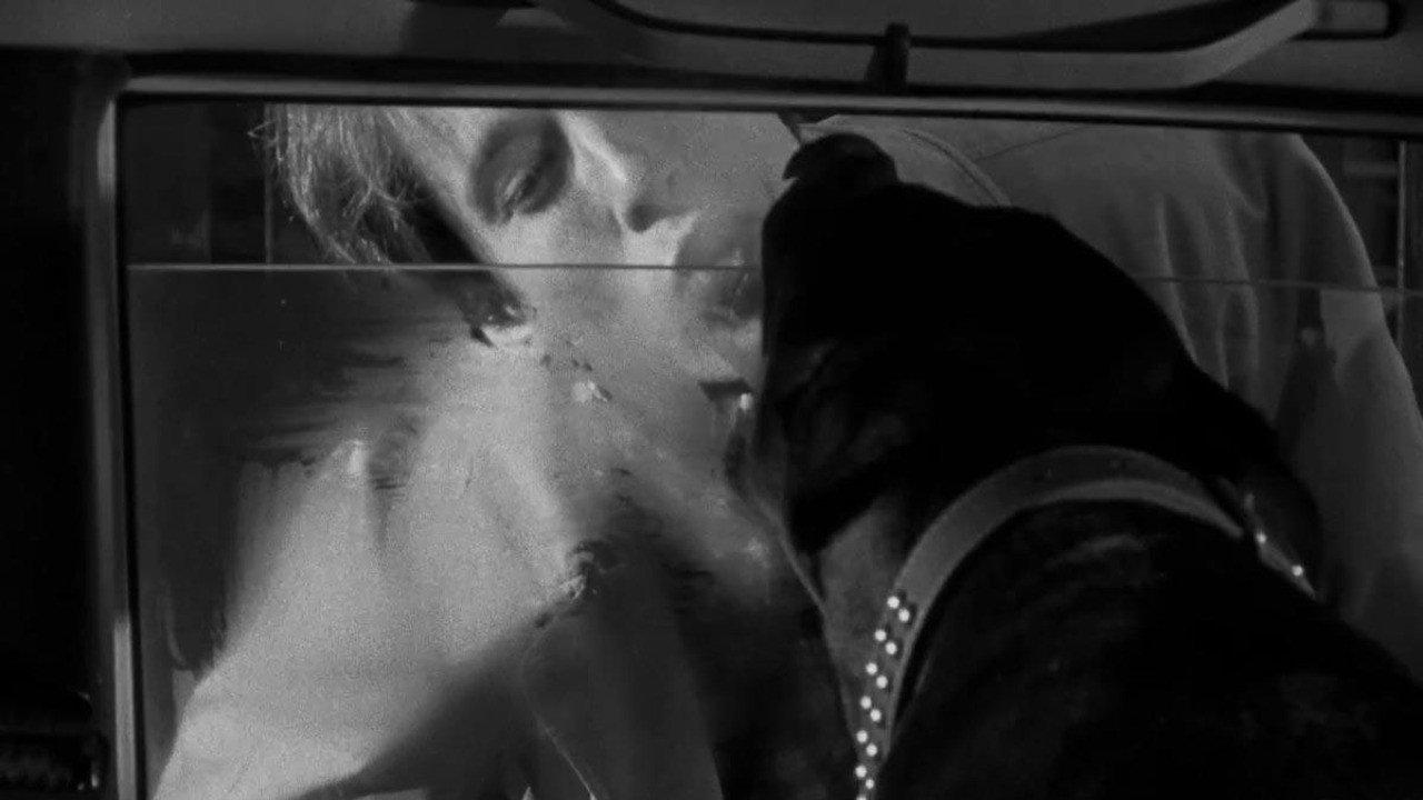 Dobermann 1999 movie scene