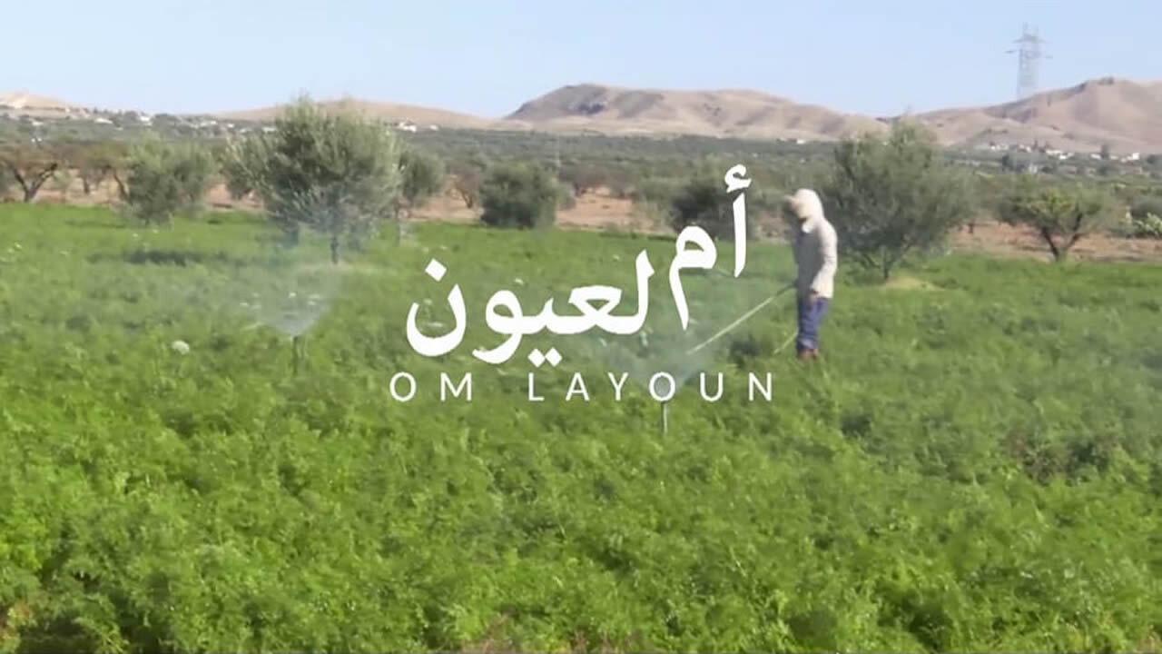 Om Layoun  movie scene