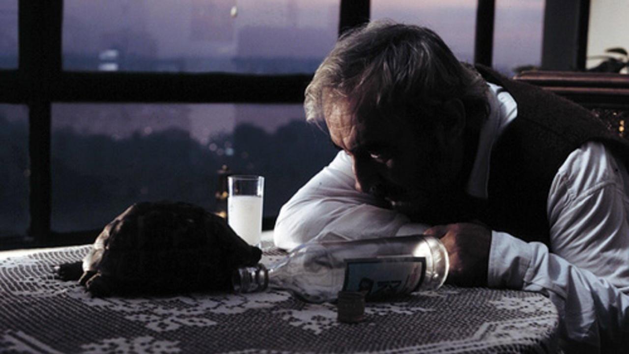 The Unforgettable Director of Love Movies 1990 movie scene