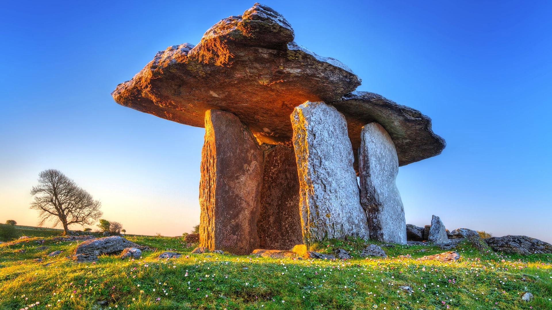 Wild Ireland: Kingdom of Stone 2024 movie scene