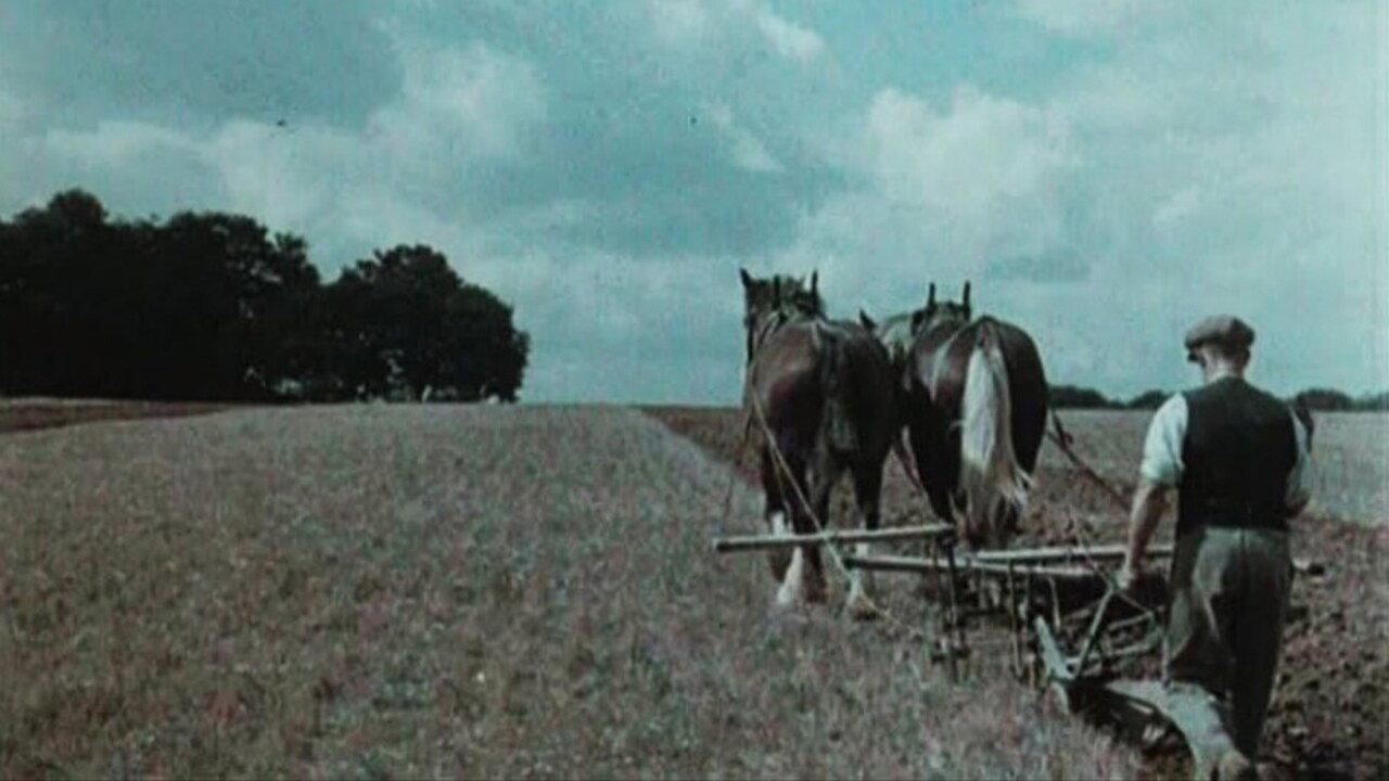 English Harvest 1938 movie scene