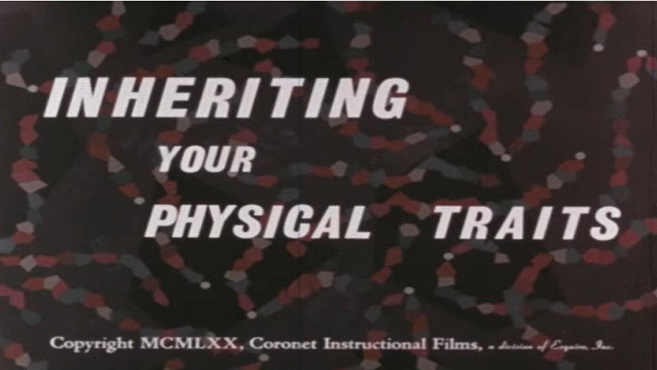 Inheriting Your Physical Traits 1970 movie scene
