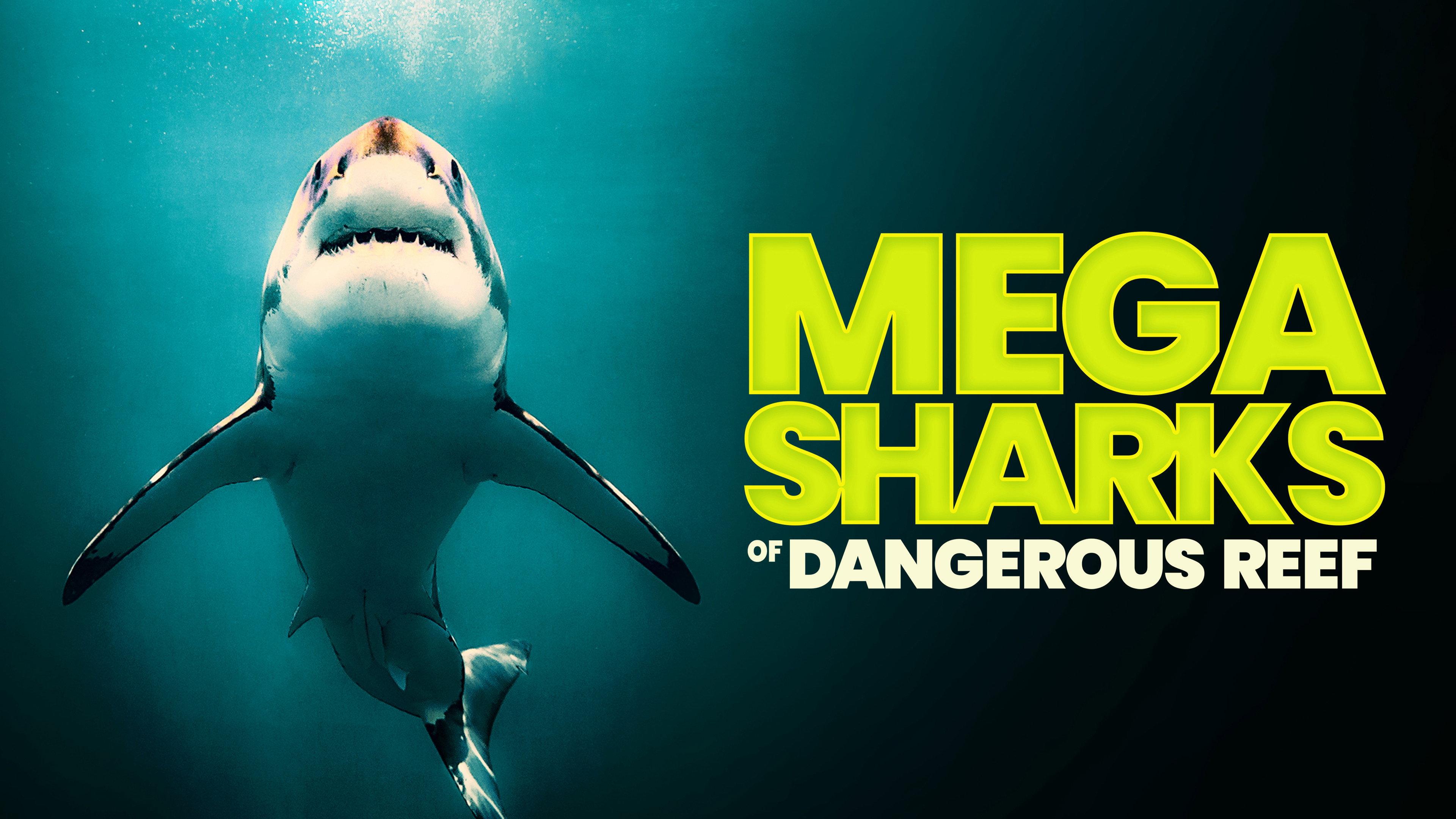 Megasharks of Dangerous Reef 2023 movie scene