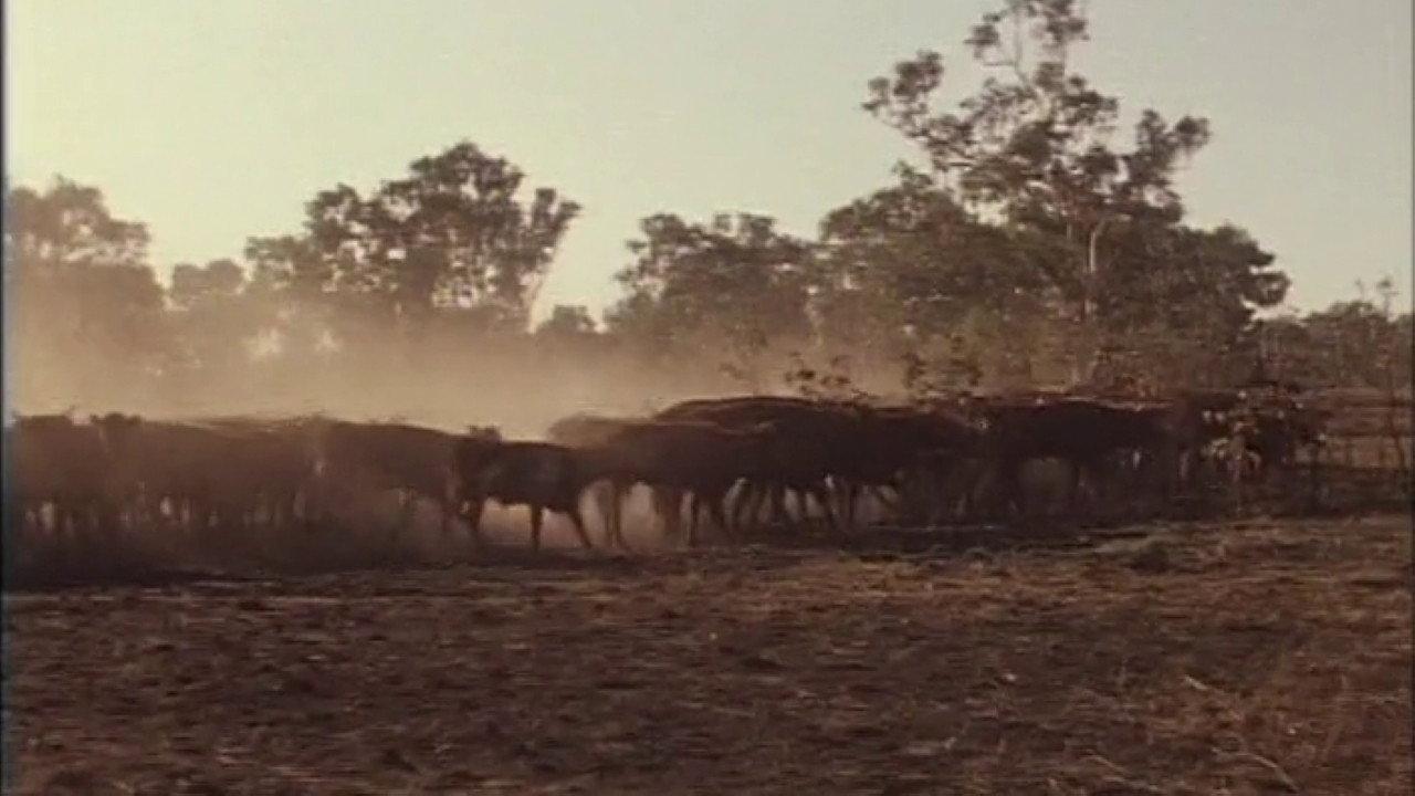 Over The Range 1983 movie scene
