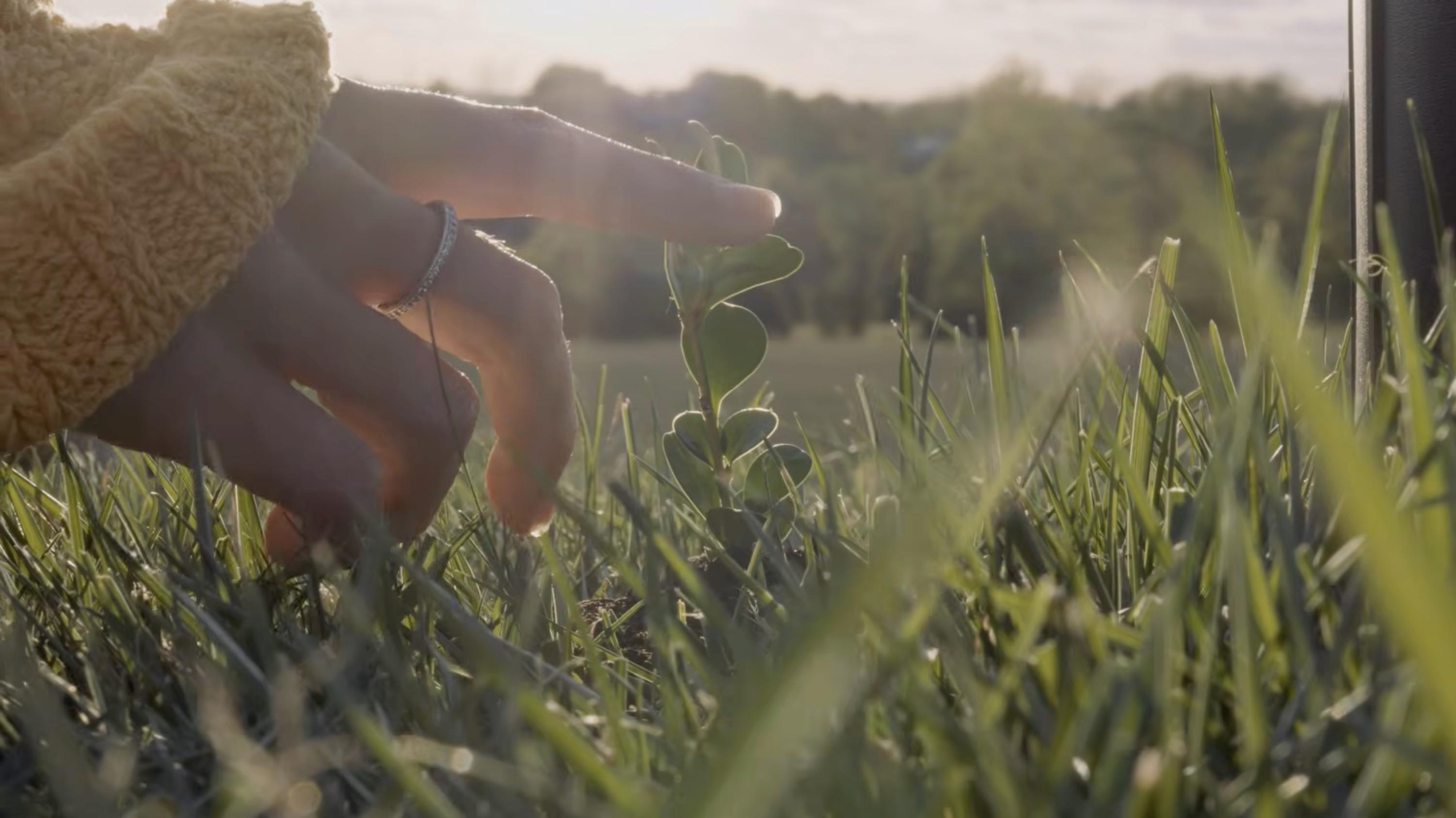 Plant Mom 2024 movie scene