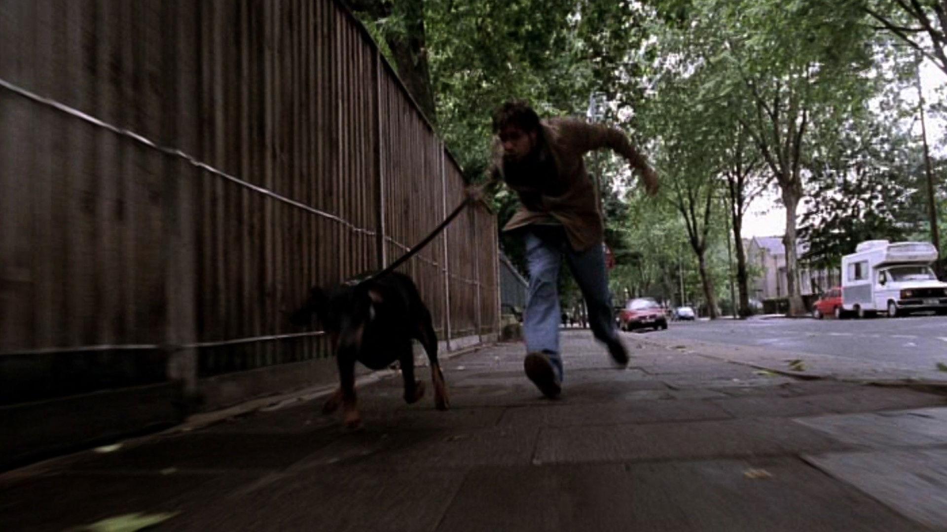 My Wrongs #8245–8249 & 117 2002 movie scene