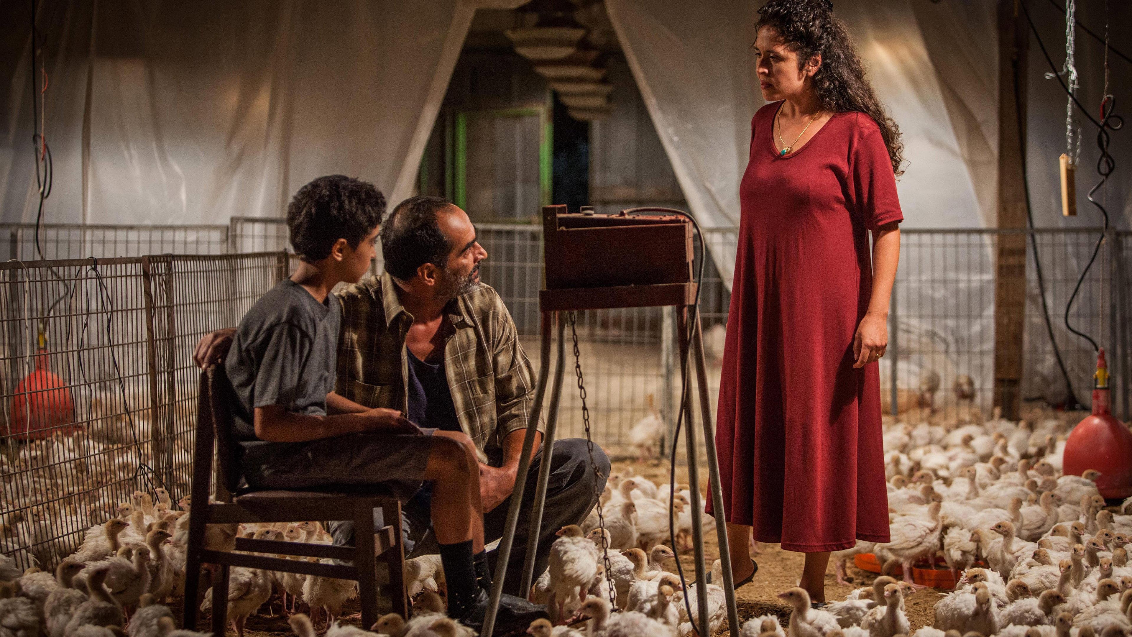 Baba Joon 2015 movie scene