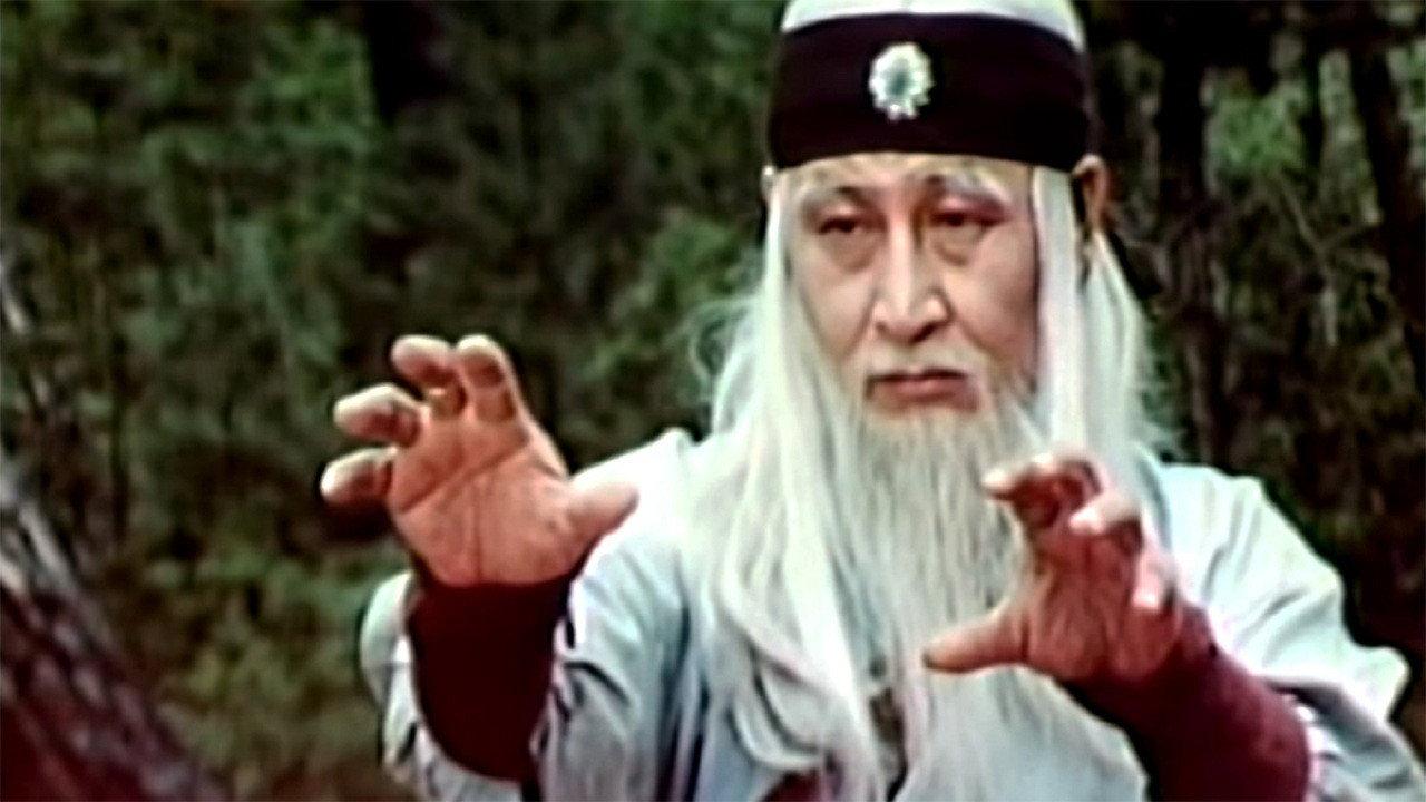 The Divine Martial Arts Of Dharma 1978 movie scene