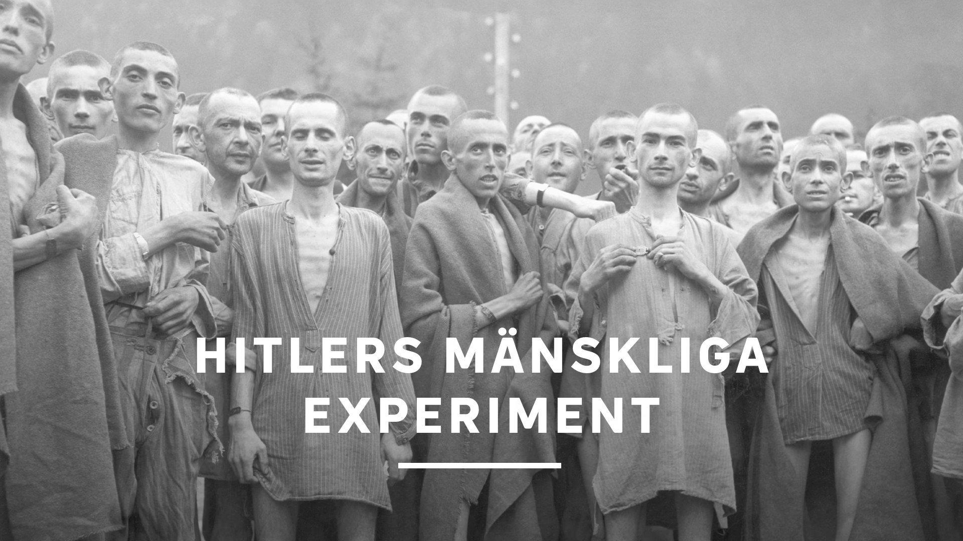 Surviving Hitler's Mad Doctors 2022 movie scene