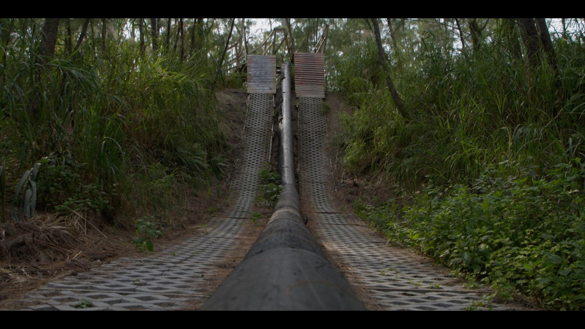 Dirt Therapy 2024 movie scene
