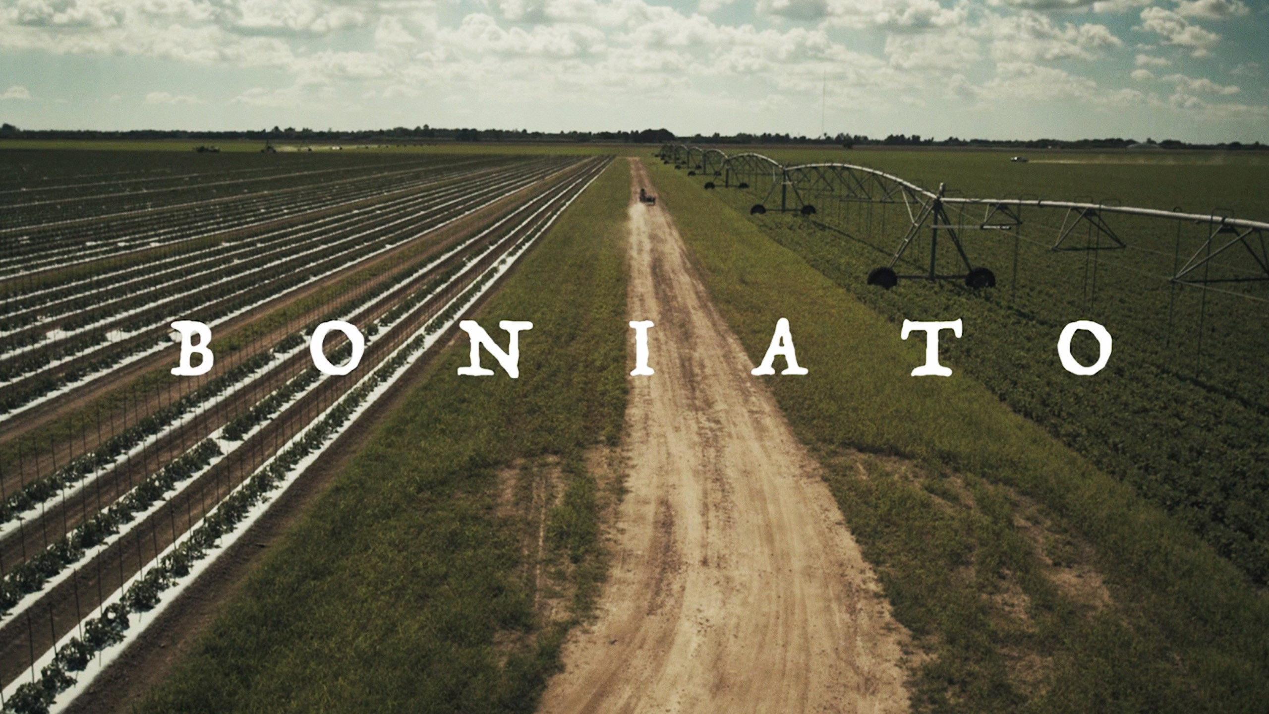 Boniato 2016 movie scene