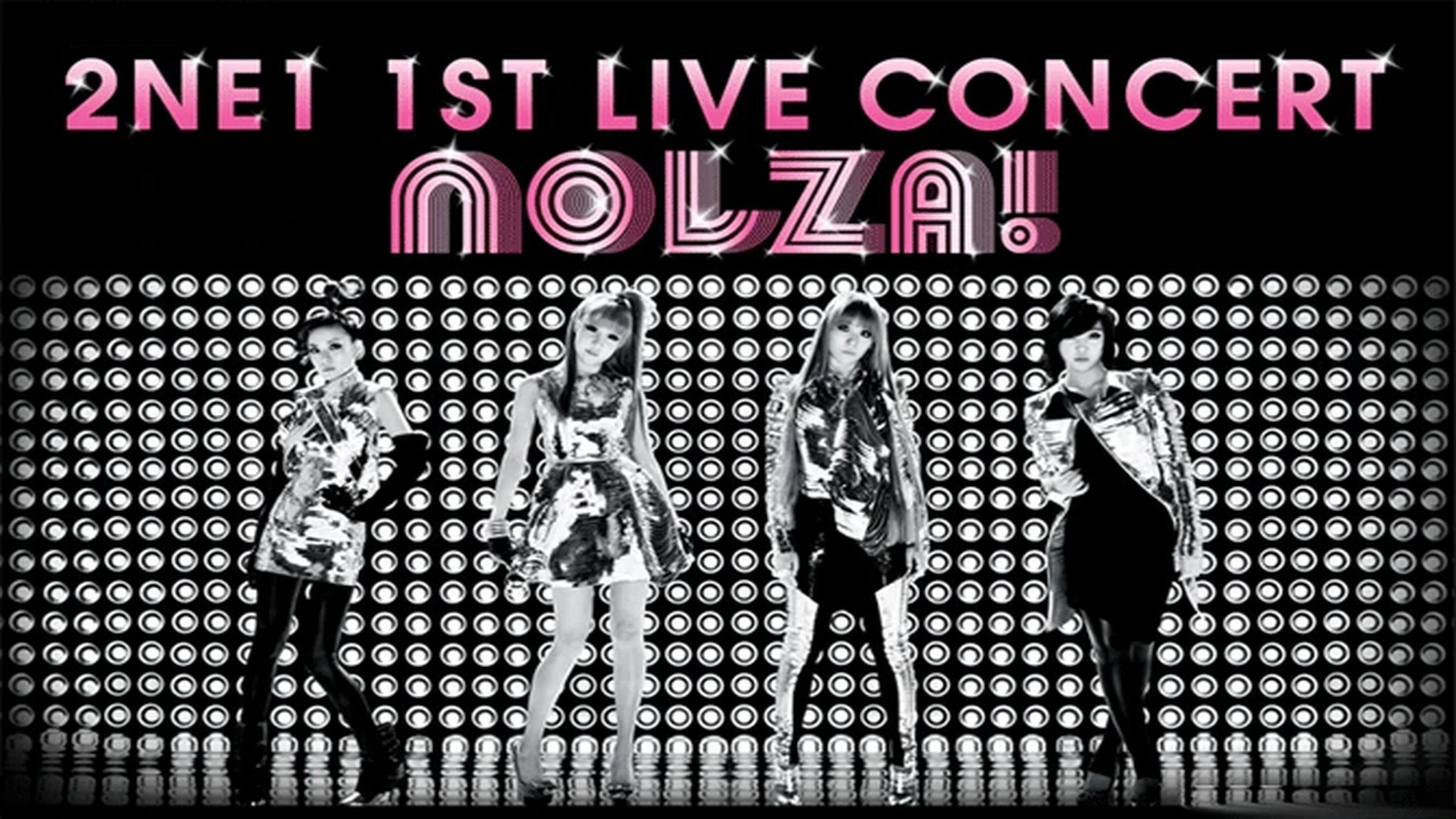 2NE1: 1st Live Concert NOLZA 2011 movie scene