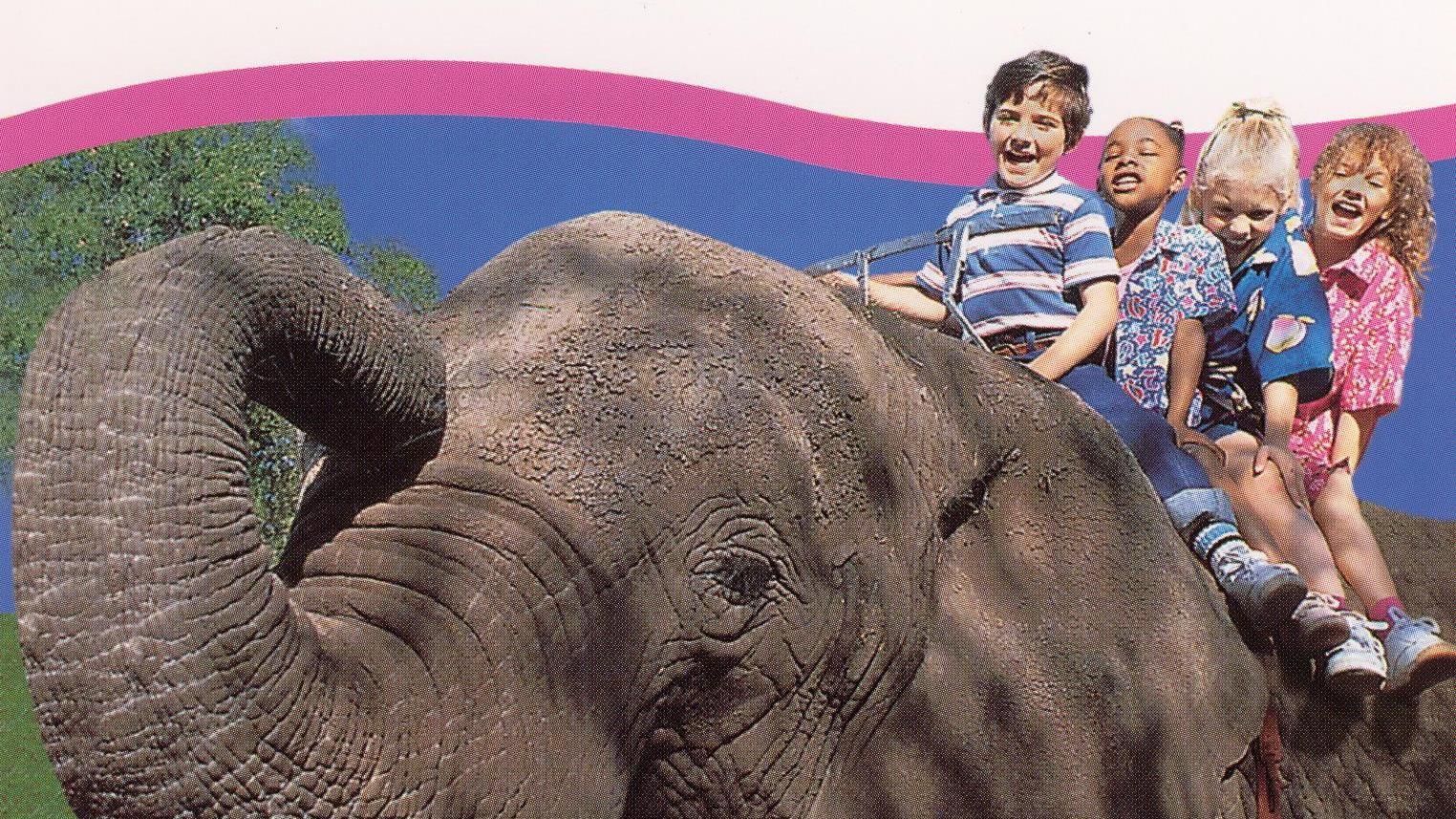 Kidsongs: A Day with the Animals 1986 movie scene