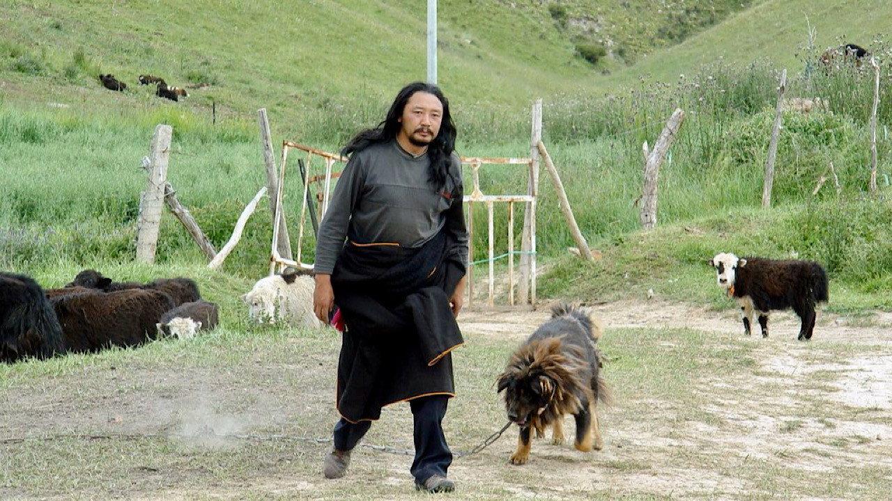 Old Dog 2011 movie scene