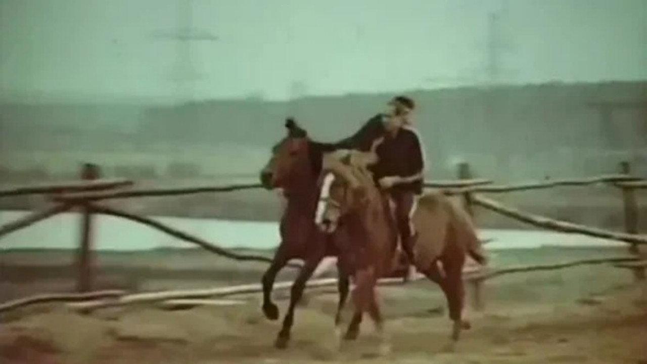 Life in the Saddle 1986 movie scene