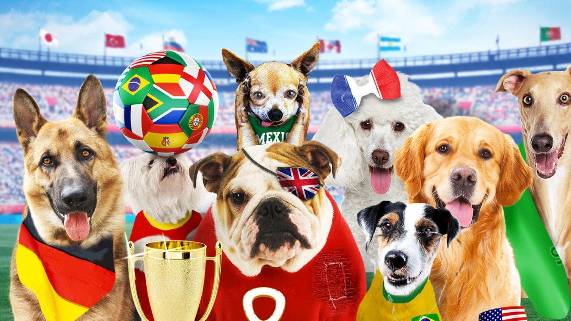 Pups United 2015 movie scene