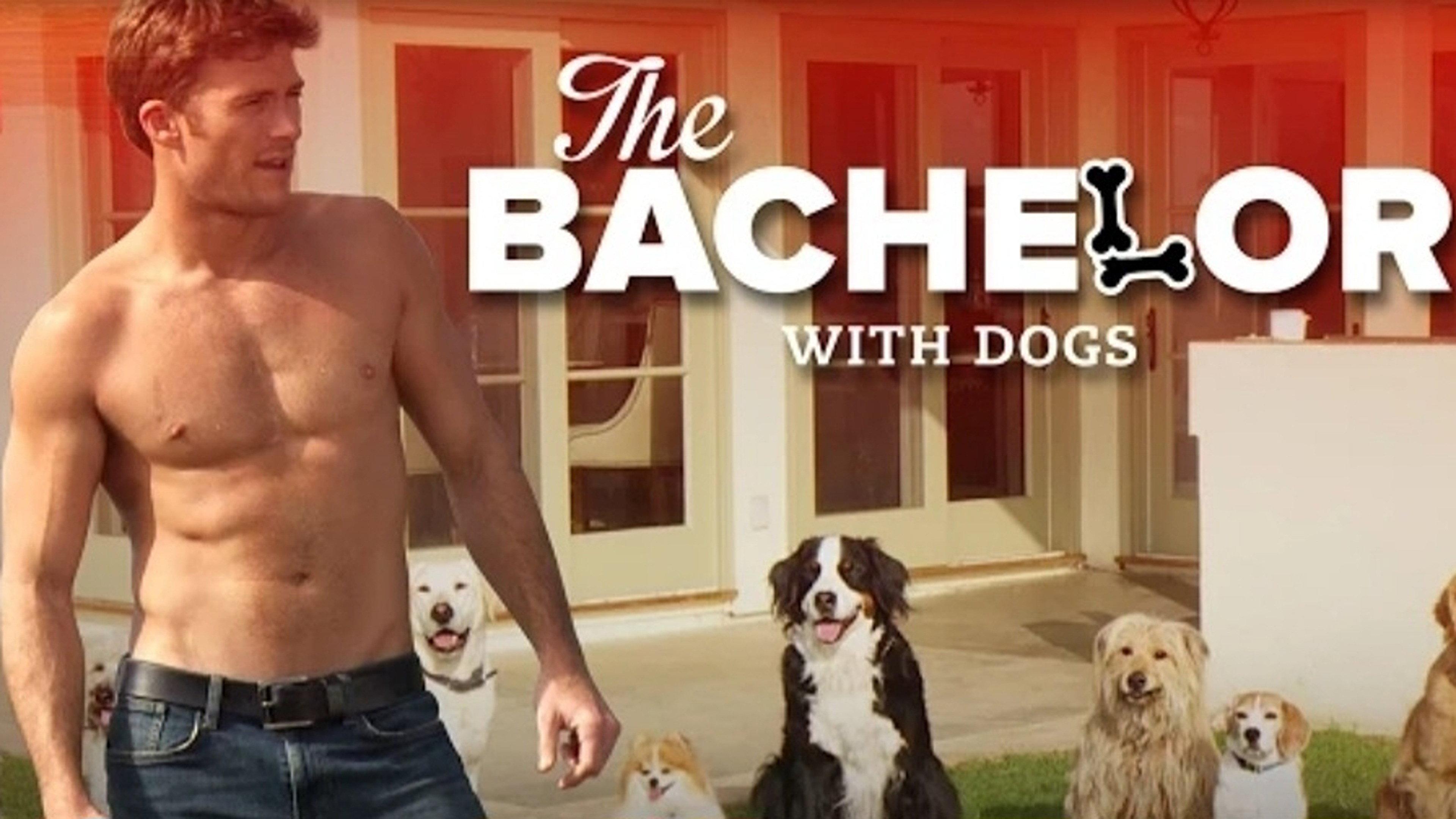 The Bachelor with Dogs and Scott Eastwood 2015 movie scene