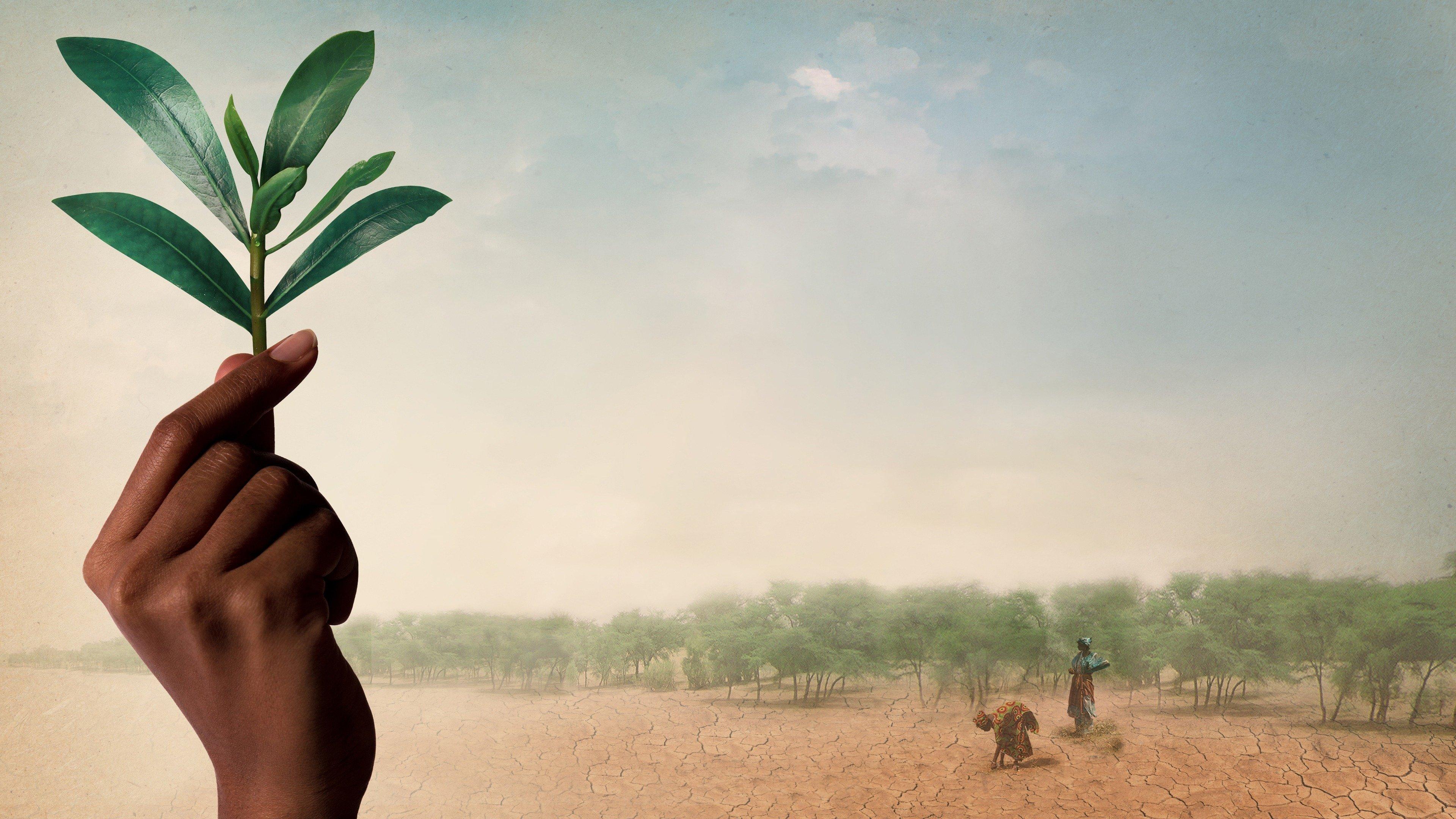 The Great Green Wall 2020 movie scene