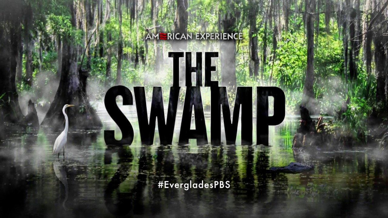 The Swamp 2019 movie scene