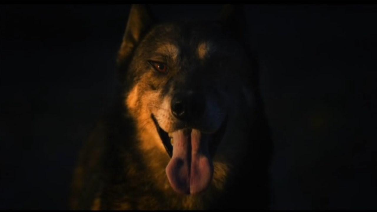 The Dog in My Headlights 2010 movie scene